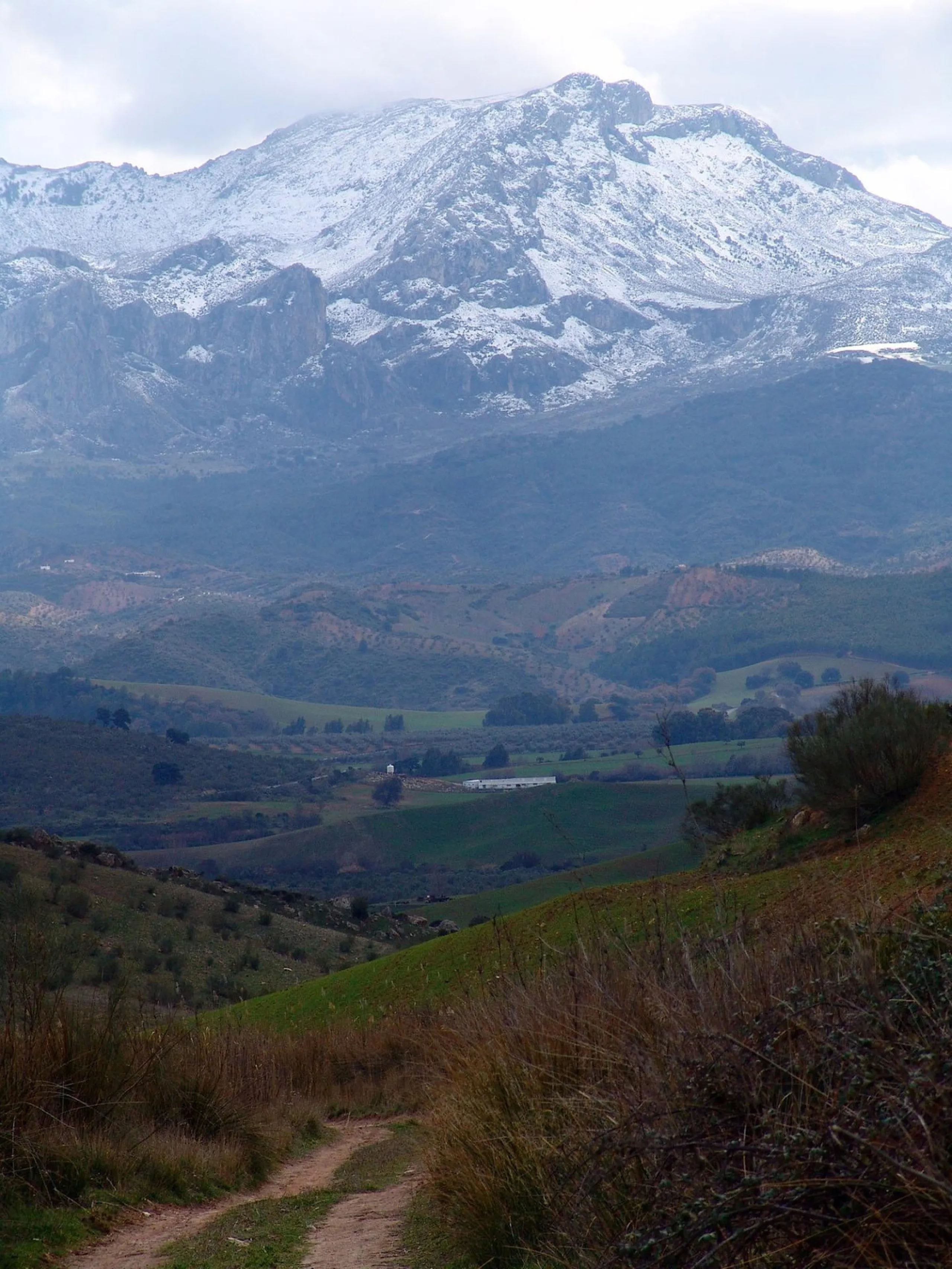 Impressive country estate close to Málaga, possibility to build. Rural property of 313 hectares (3.130.000 sqm or 773,44 acres) located in the Municipality or Ardales in Málaga Province.