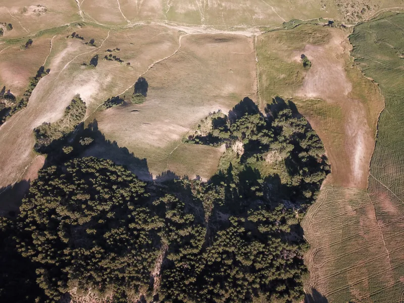 Impressive country estate close to Málaga, possibility to build. Rural property of 313 hectares (3.130.000 sqm or 773,44 acres) located in the Municipality or Ardales in Málaga Province.