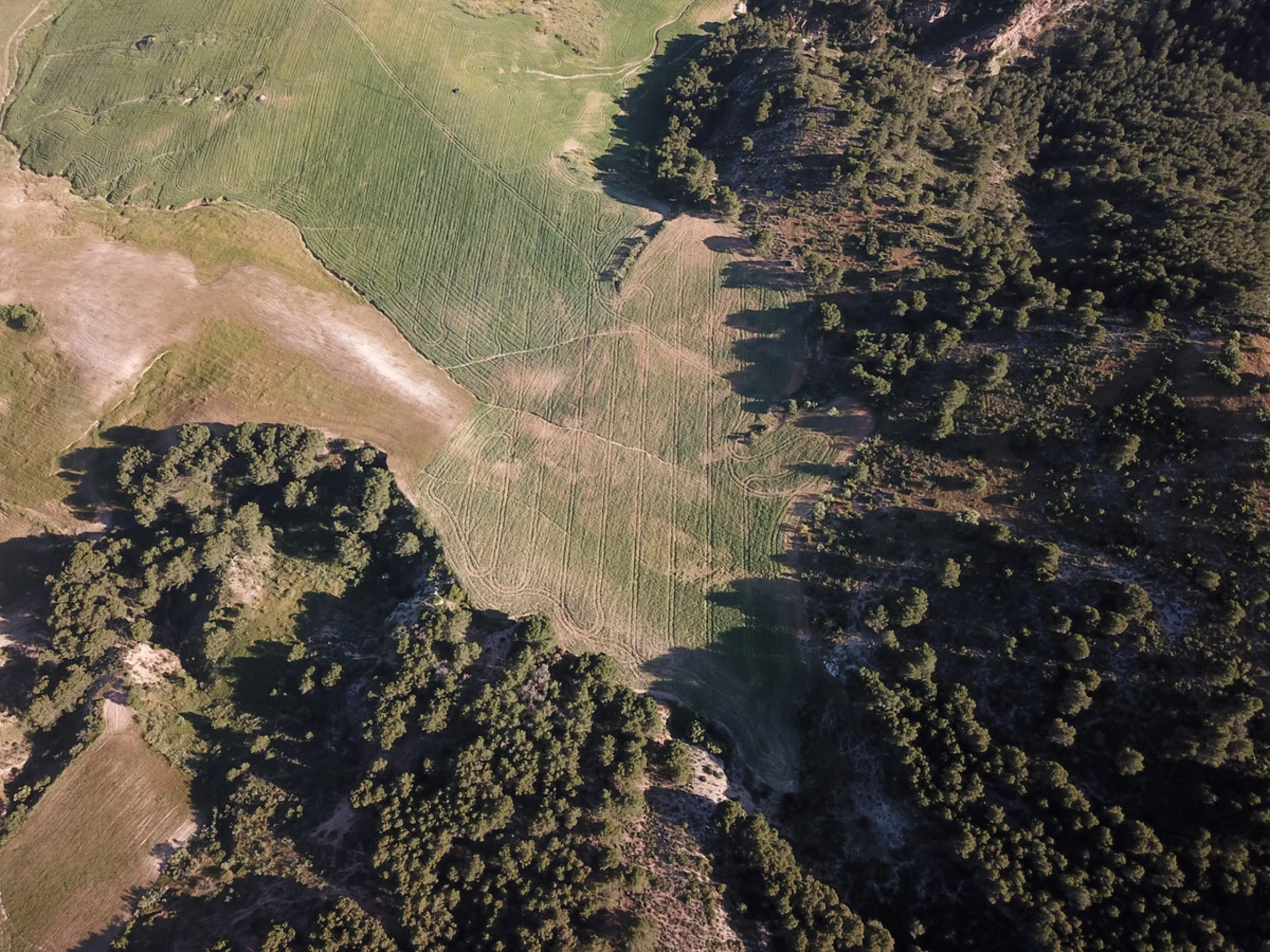 Impressive country estate close to Málaga, possibility to build. Rural property of 313 hectares (3.130.000 sqm or 773,44 acres) located in the Municipality or Ardales in Málaga Province.