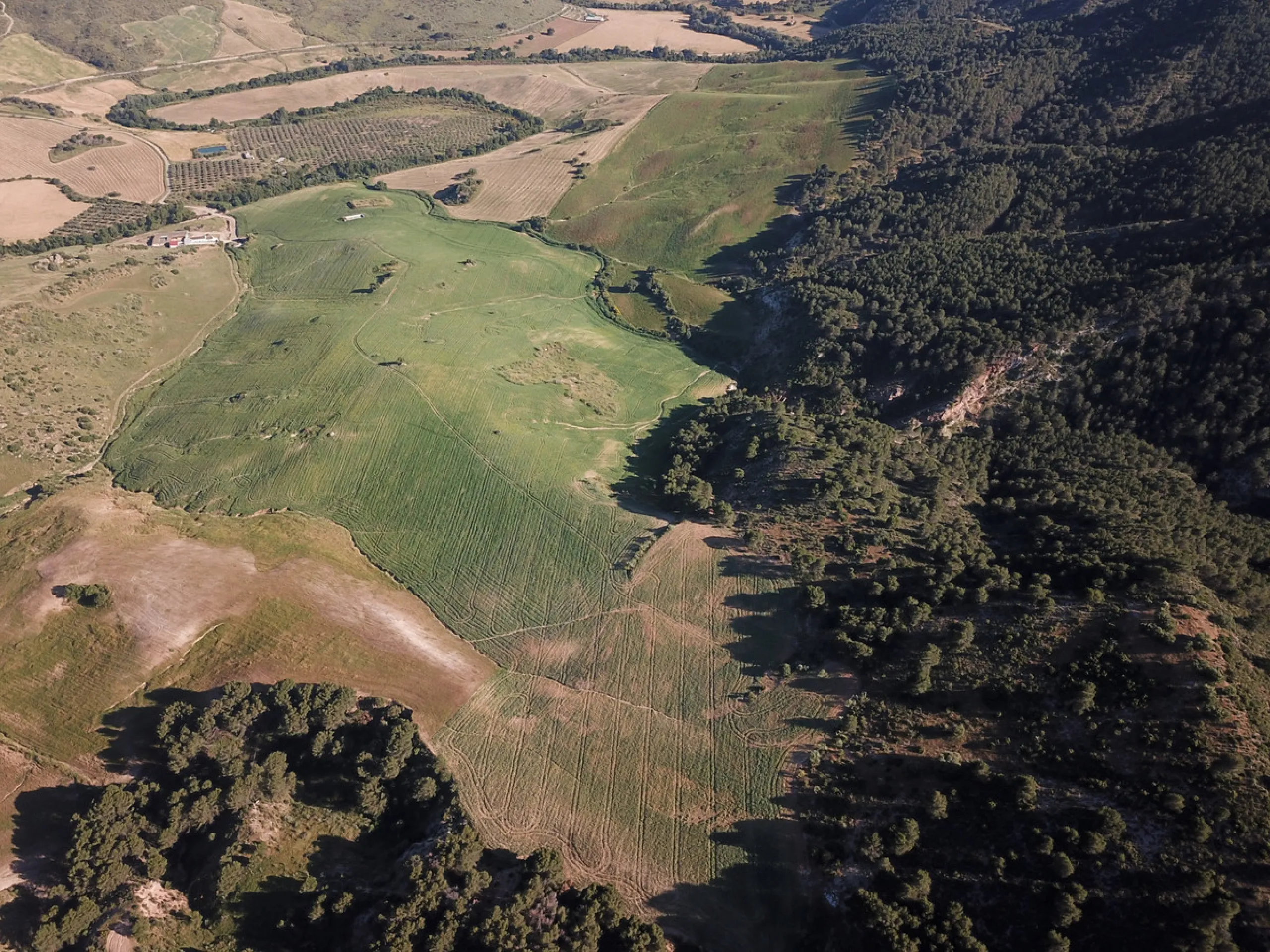 Impressive country estate close to Málaga, possibility to build. Rural property of 313 hectares (3.130.000 sqm or 773,44 acres) located in the Municipality or Ardales in Málaga Province.