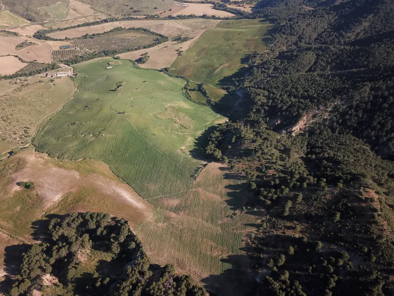 Impressive country estate close to Málaga, possibility to build. Rural property of 313 hectares (3.130.000 sqm or 773,44 acres) located in the Municipality or Ardales in Málaga Province.