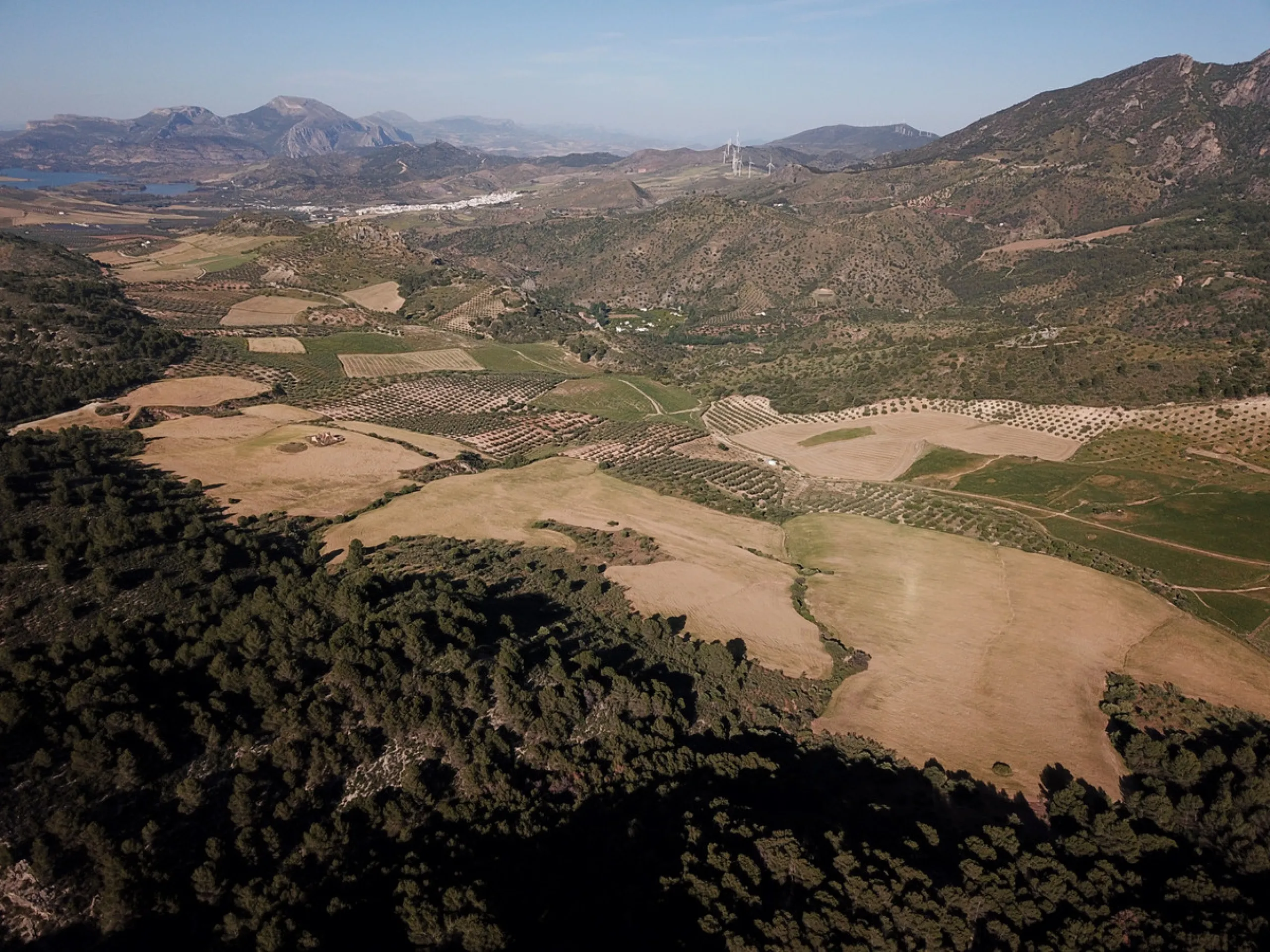 Impressive country estate close to Málaga, possibility to build. Rural property of 313 hectares (3.130.000 sqm or 773,44 acres) located in the Municipality or Ardales in Málaga Province.