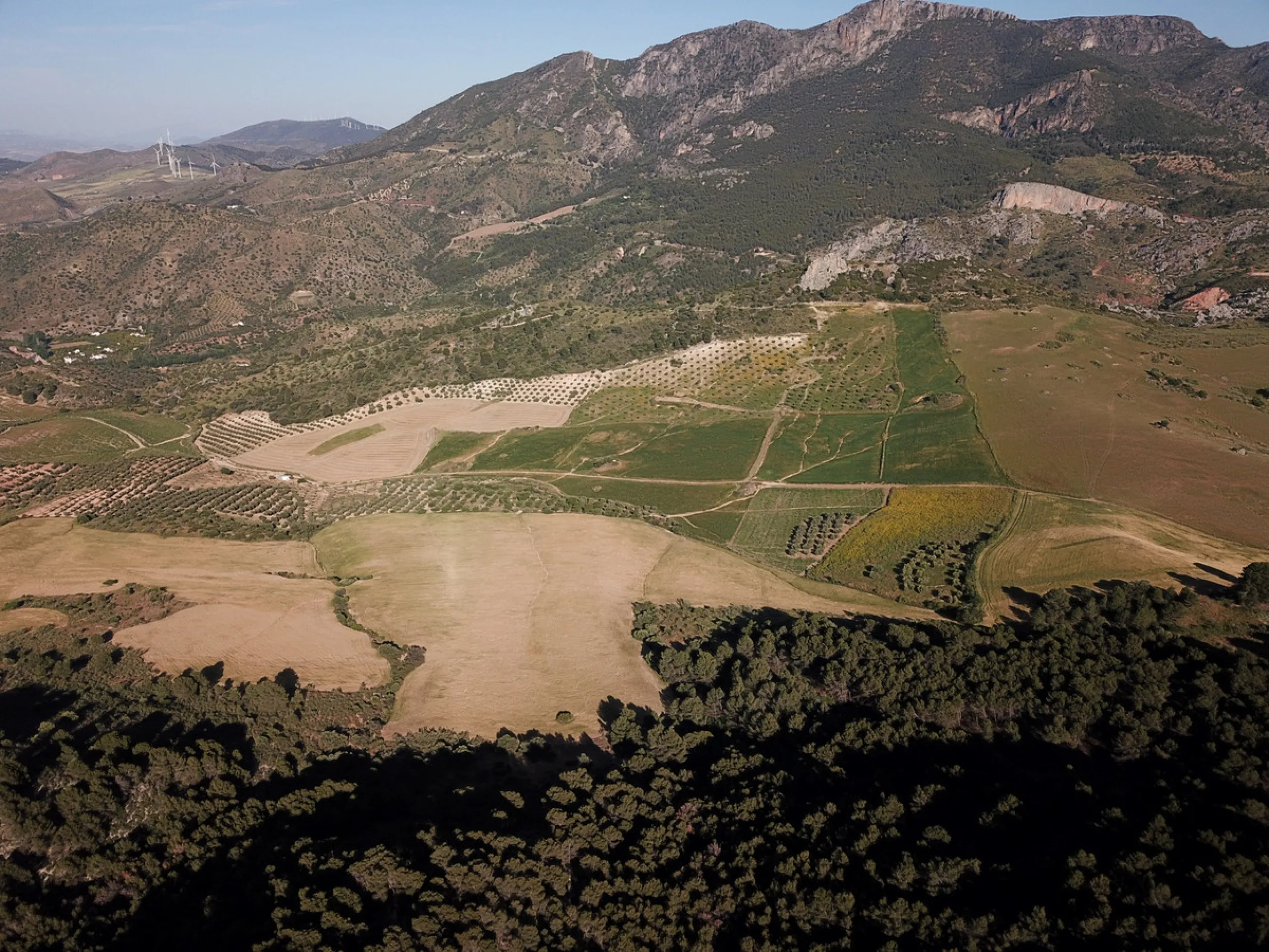 Impressive country estate close to Málaga, possibility to build. Rural property of 313 hectares (3.130.000 sqm or 773,44 acres) located in the Municipality or Ardales in Málaga Province.