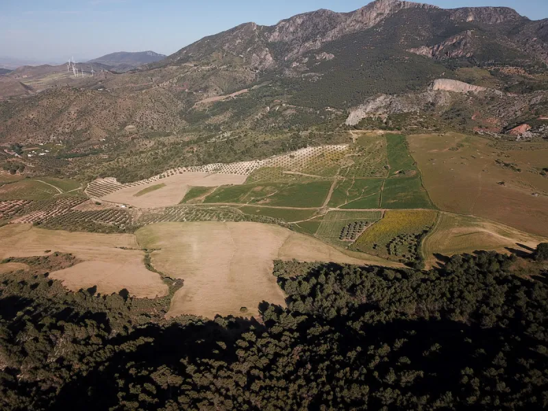 Impressive country estate close to Málaga, possibility to build. Rural property of 313 hectares (3.130.000 sqm or 773,44 acres) located in the Municipality or Ardales in Málaga Province.