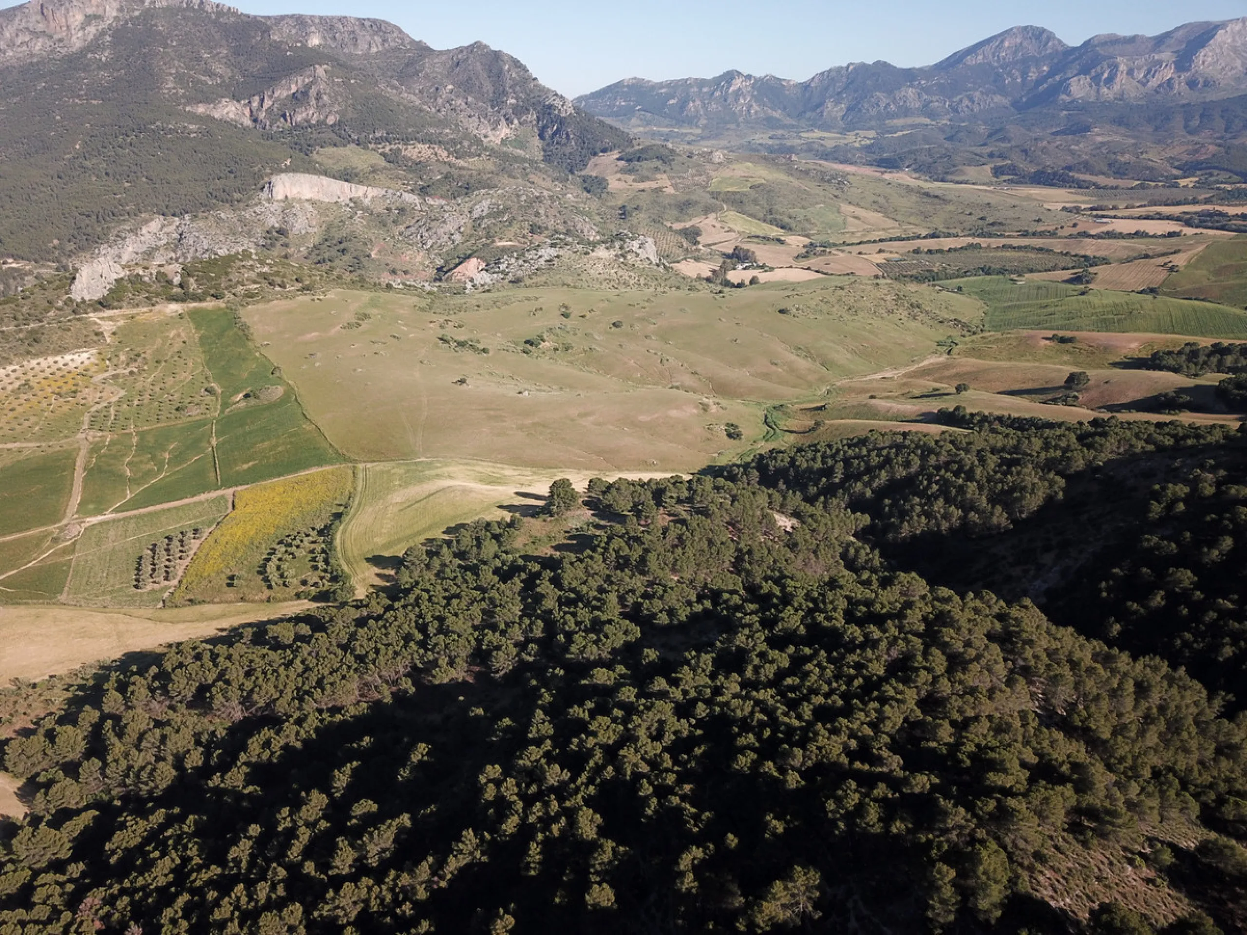 Impressive country estate close to Málaga, possibility to build. Rural property of 313 hectares (3.130.000 sqm or 773,44 acres) located in the Municipality or Ardales in Málaga Province.