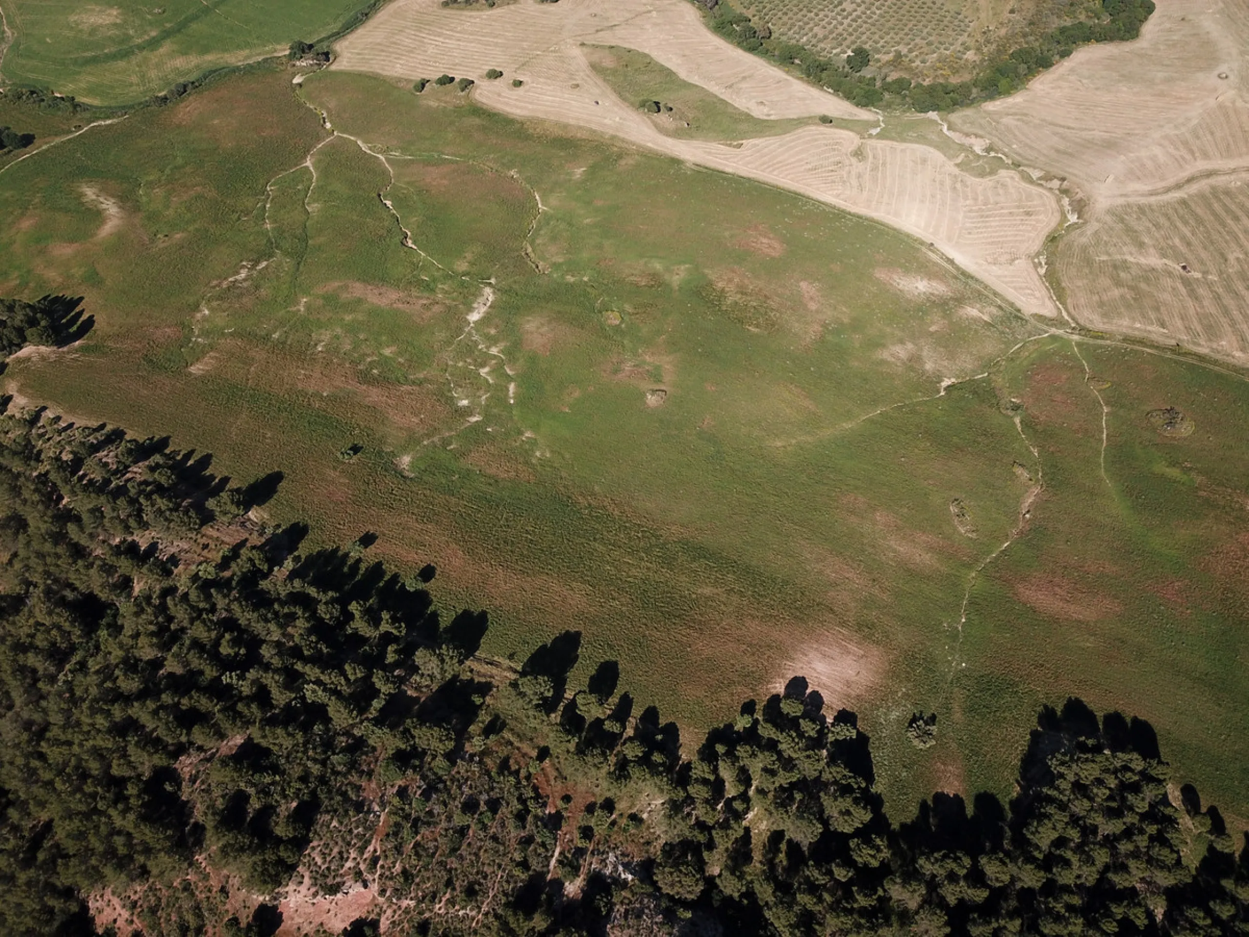 Impressive country estate close to Málaga, possibility to build. Rural property of 313 hectares (3.130.000 sqm or 773,44 acres) located in the Municipality or Ardales in Málaga Province.