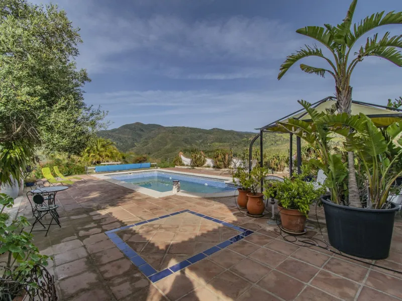 HOUSE WITH LARGE PLOT IN MONDA