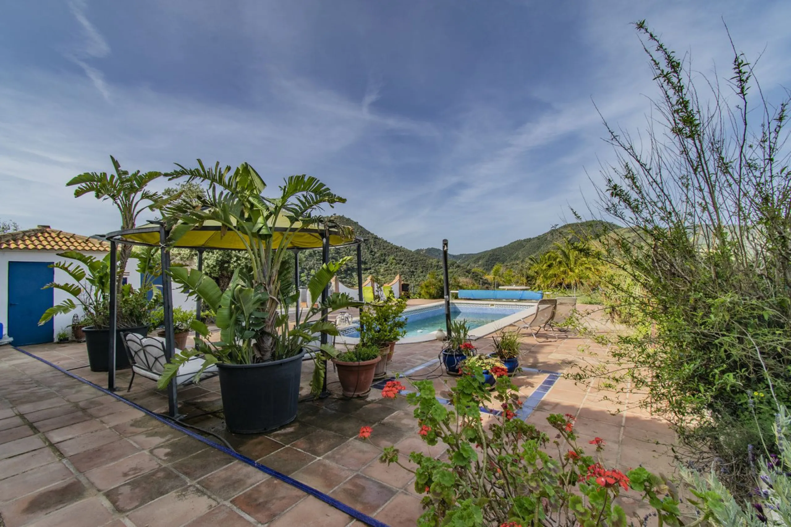 HOUSE WITH LARGE PLOT IN MONDA