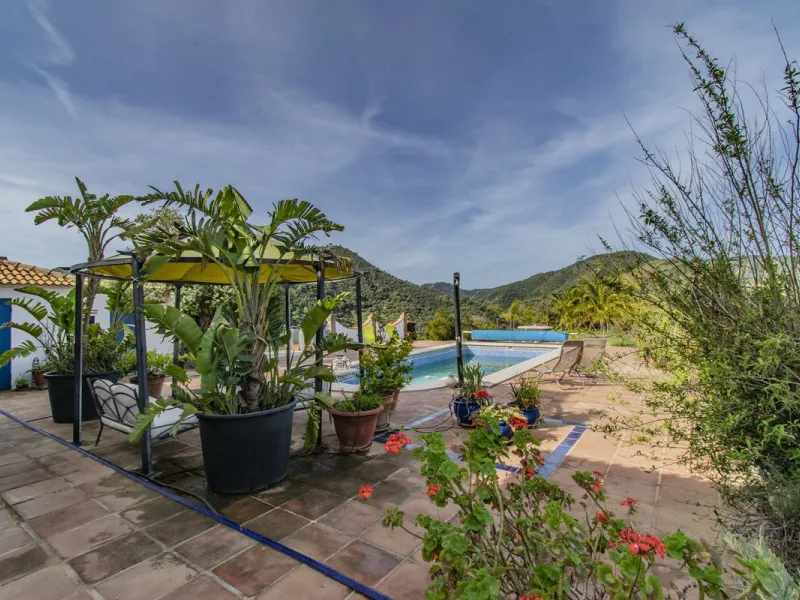 HOUSE WITH LARGE PLOT IN MONDA
