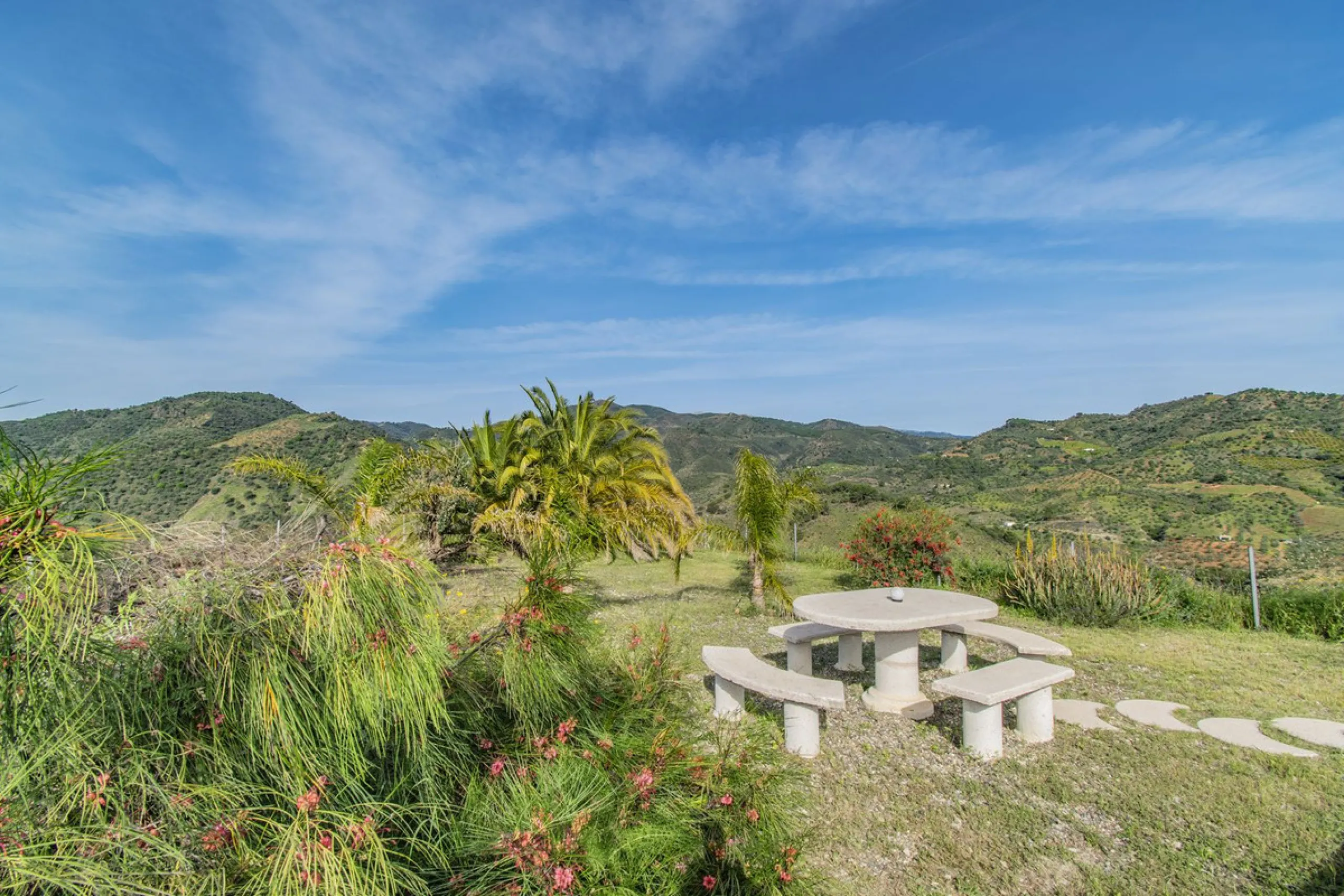 HOUSE WITH LARGE PLOT IN MONDA