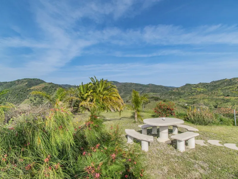 HOUSE WITH LARGE PLOT IN MONDA
