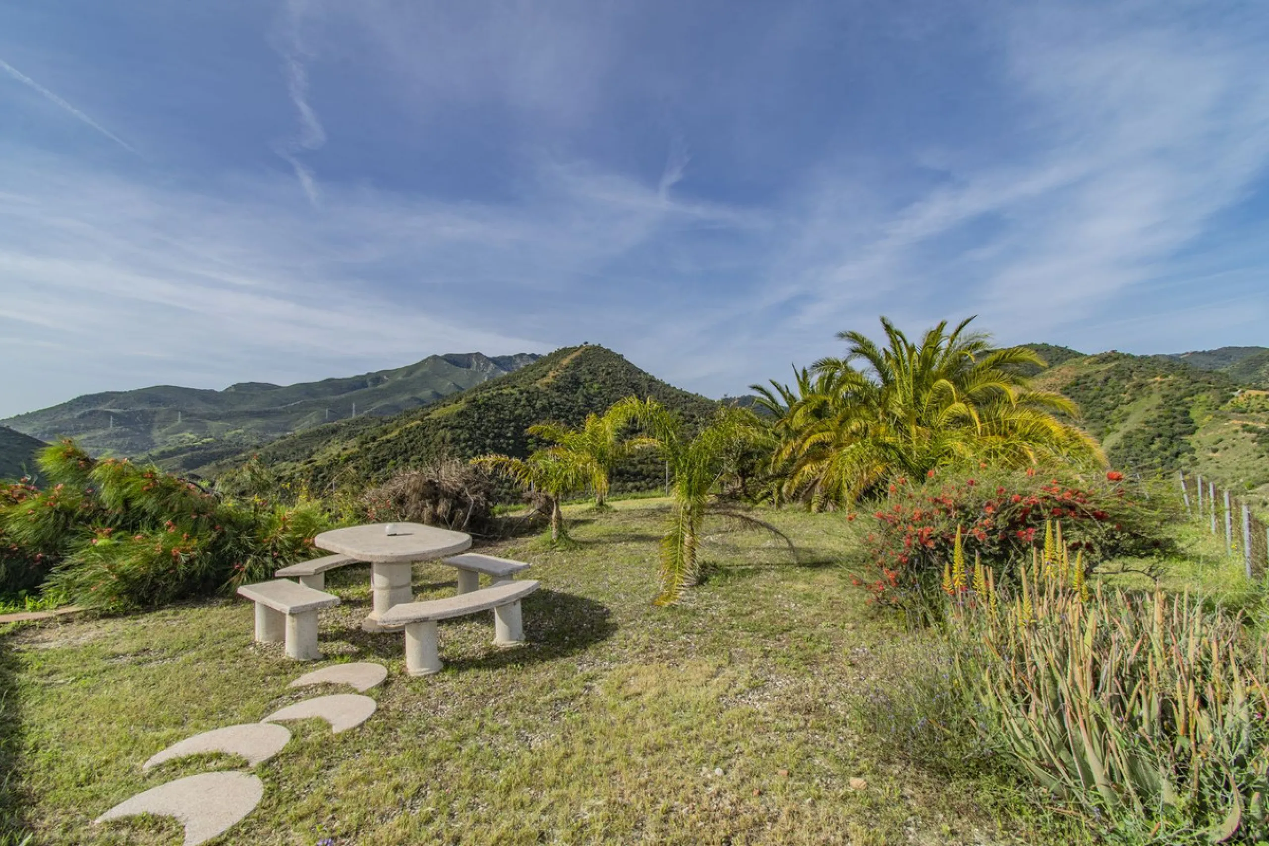 HOUSE WITH LARGE PLOT IN MONDA