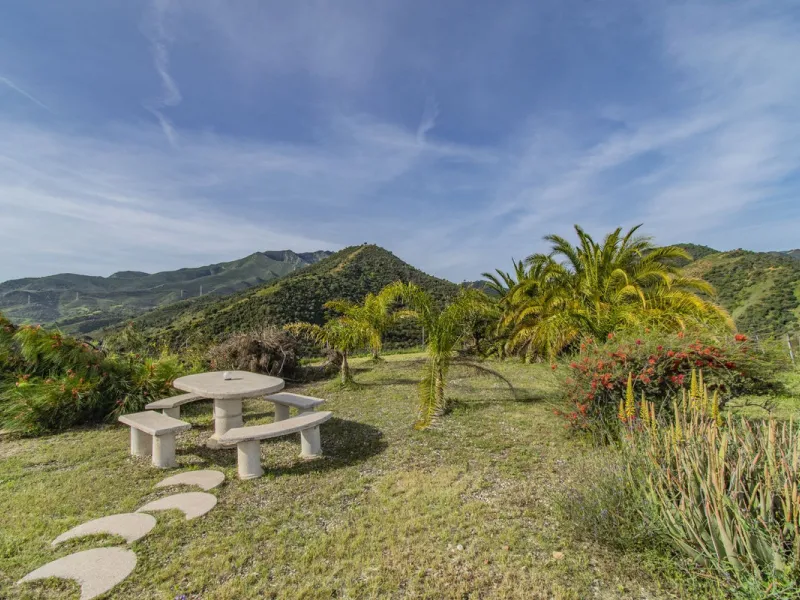 HOUSE WITH LARGE PLOT IN MONDA