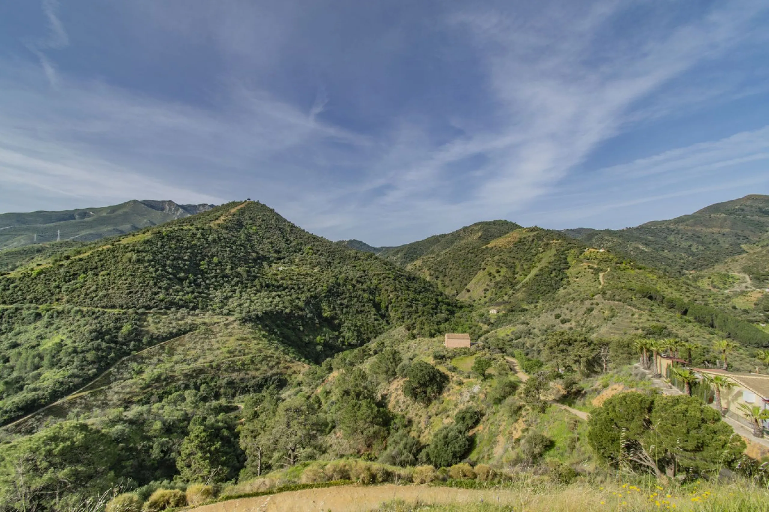 HOUSE WITH LARGE PLOT IN MONDA