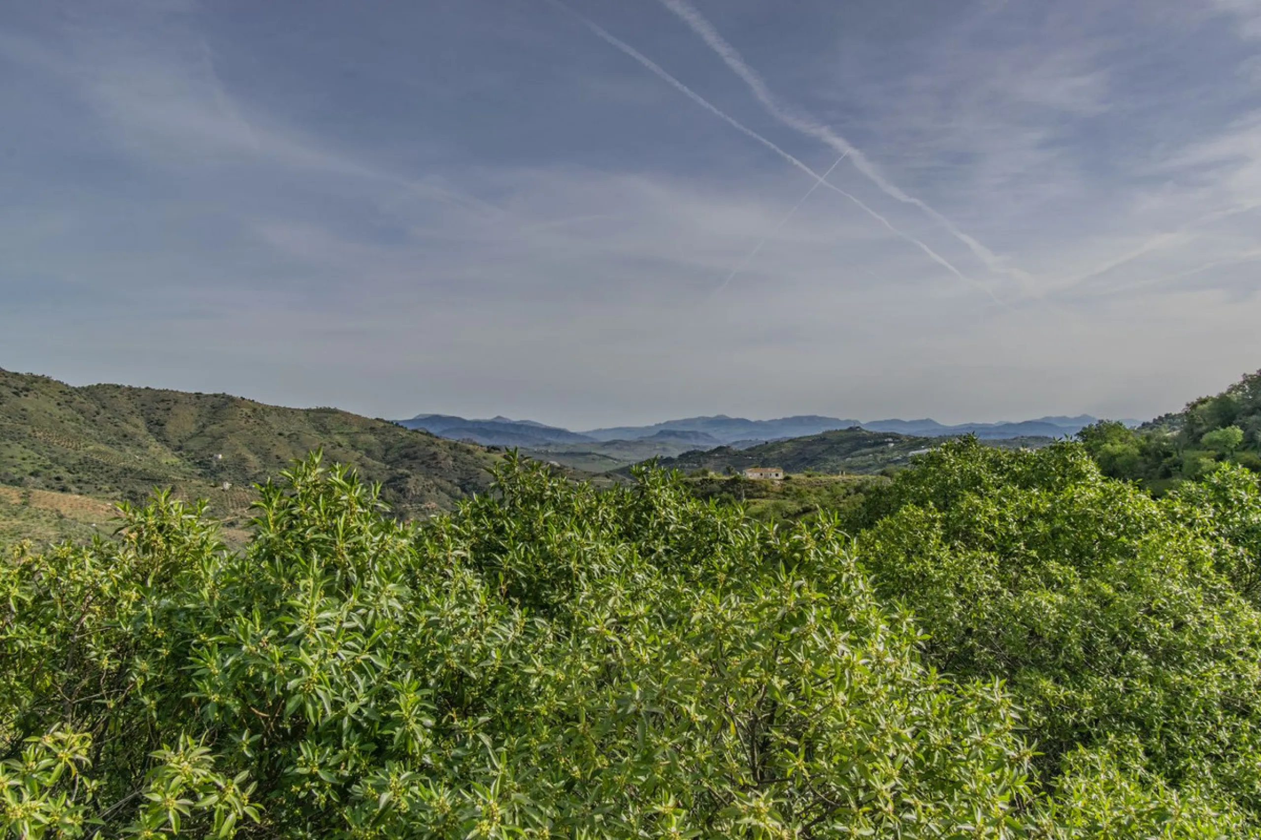 HOUSE WITH LARGE PLOT IN MONDA