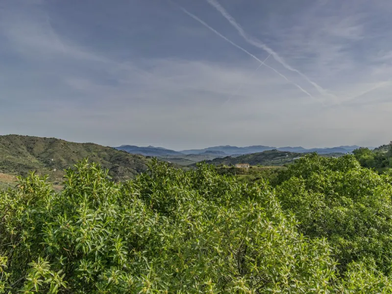 HOUSE WITH LARGE PLOT IN MONDA