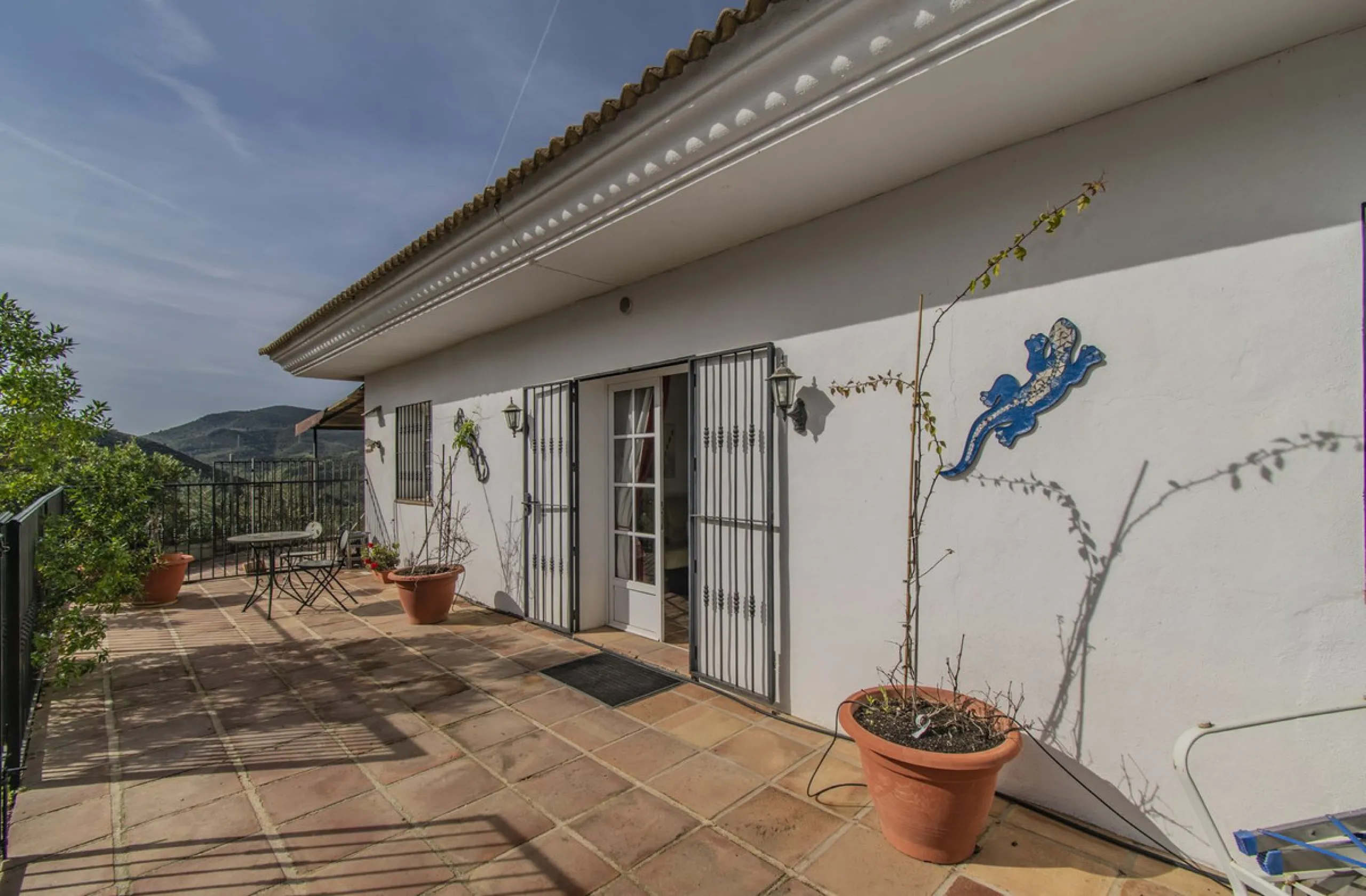 HOUSE WITH LARGE PLOT IN MONDA