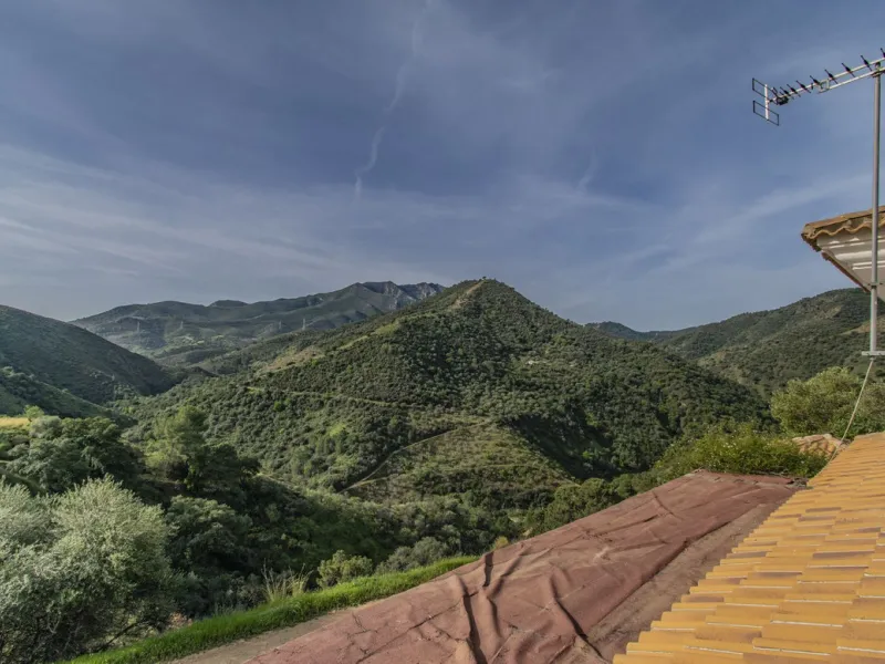 HOUSE WITH LARGE PLOT IN MONDA