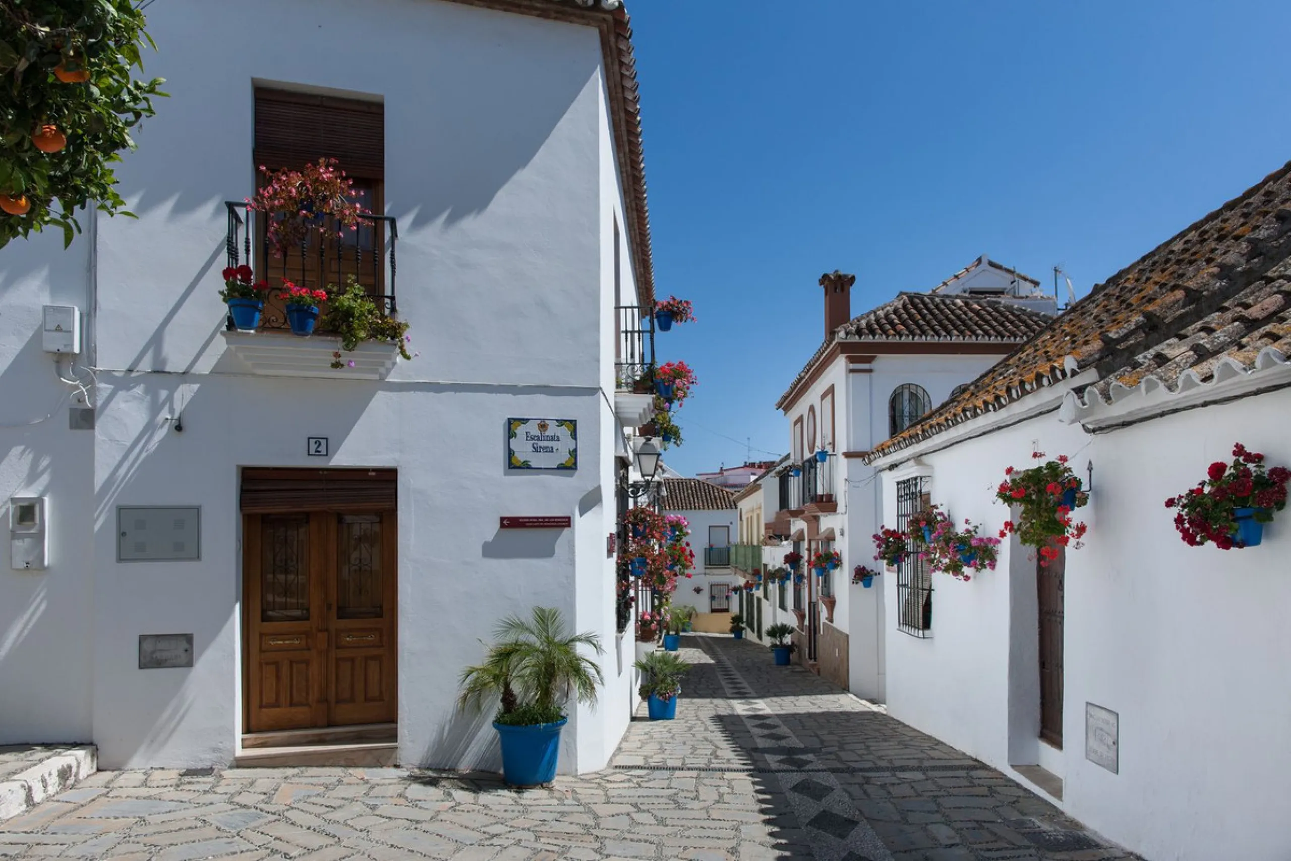 Commercial - Business в продаже в Estepona, Málaga. Площадь дома 786 м²