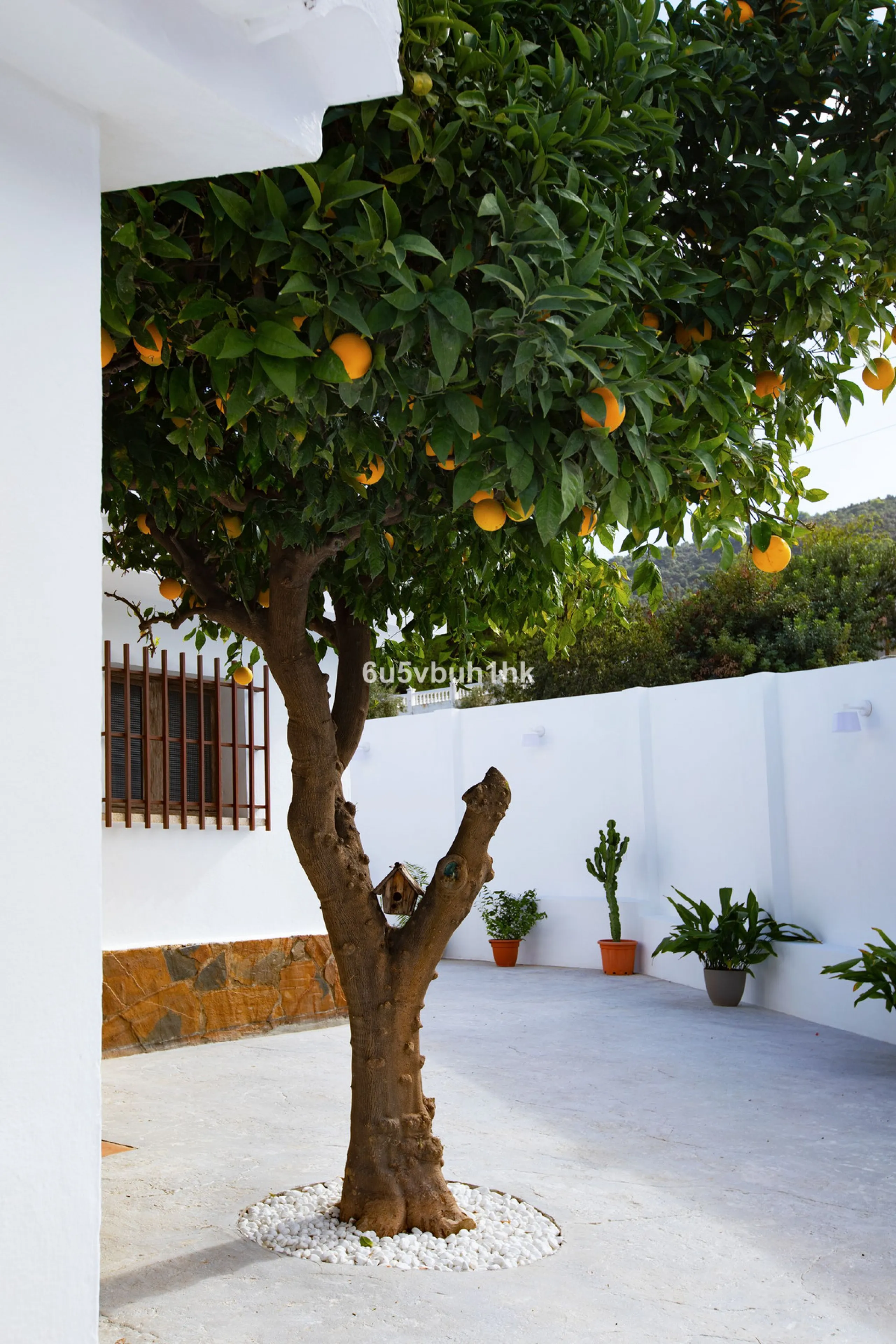 There comes a stage in life when the ideal home is no longer the biggest one — but the one that simply makes everyday living easier, more comfortable and enjoyable. This single-level property in Alhaurín de la Torre captures that idea beautifully.