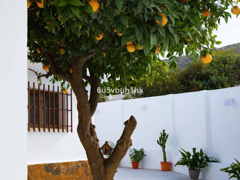 There comes a stage in life when the ideal home is no longer the biggest one — but the one that simply makes everyday living easier, more comfortable and enjoyable. This single-level property in Alhaurín de la Torre captures that idea beautifully.