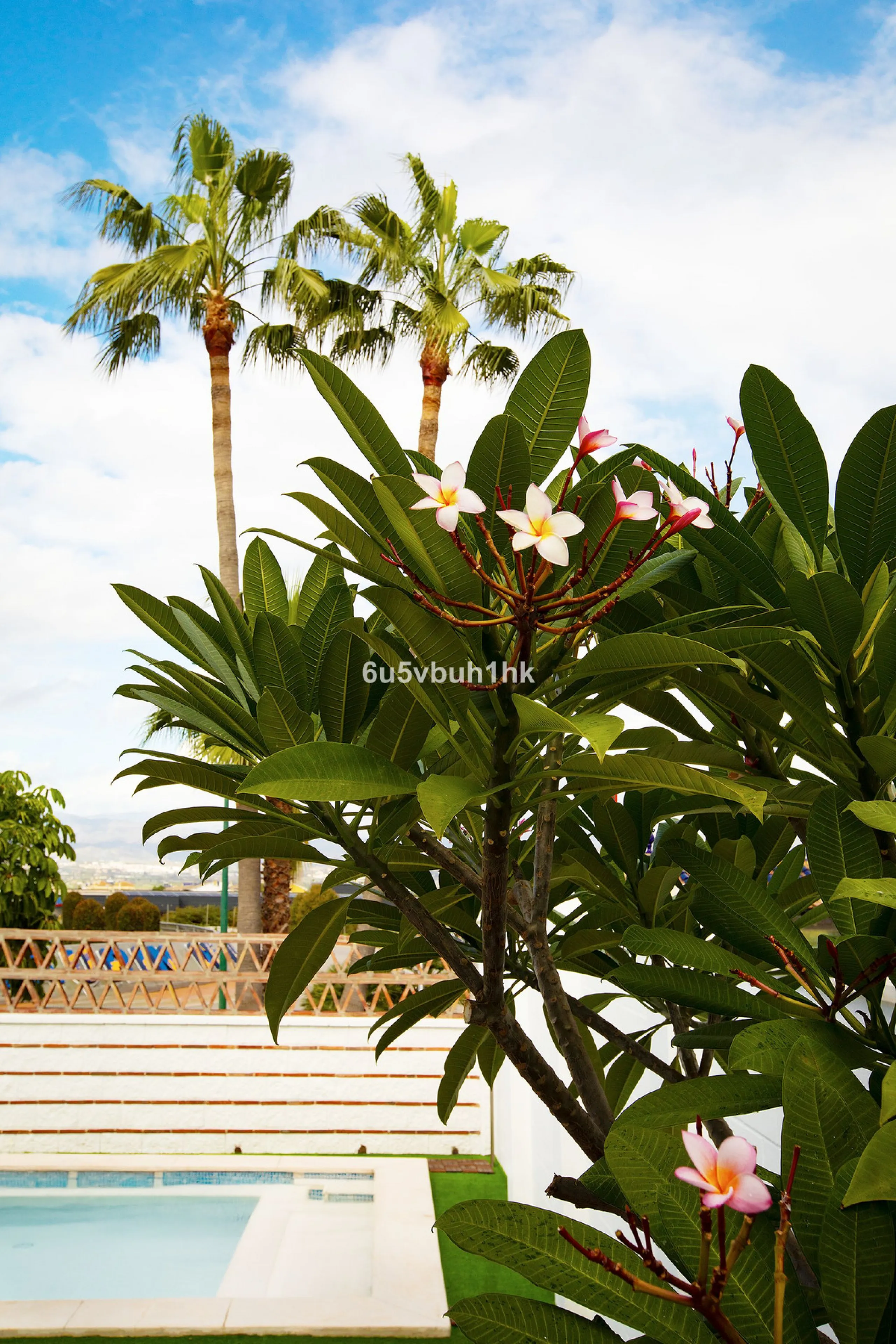 There comes a stage in life when the ideal home is no longer the biggest one — but the one that simply makes everyday living easier, more comfortable and enjoyable. This single-level property in Alhaurín de la Torre captures that idea beautifully.