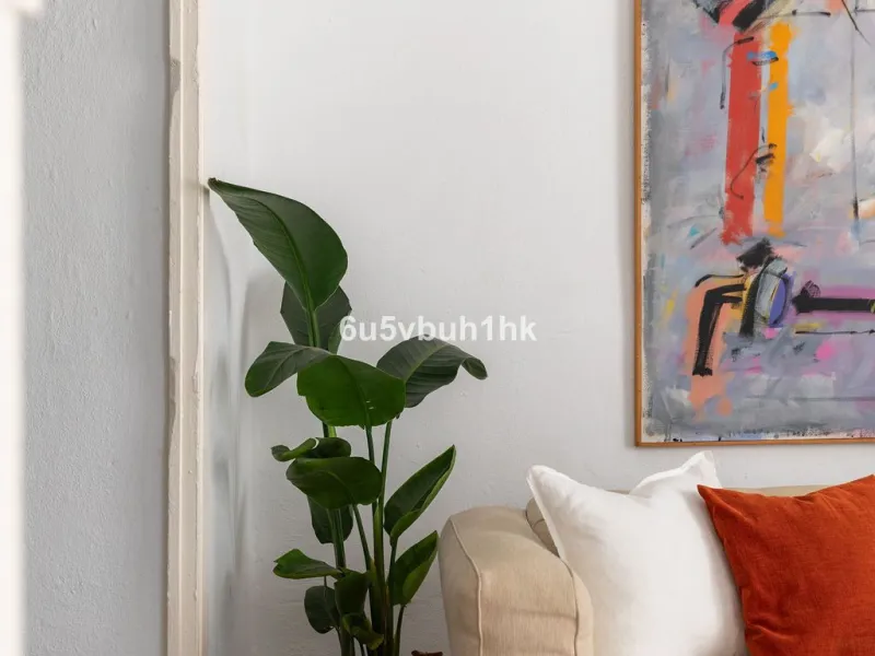 Hidden within the historic streets of central Málaga, this remarkable courtyard house captures a way of living that has shaped Mediterranean homes for centuries.