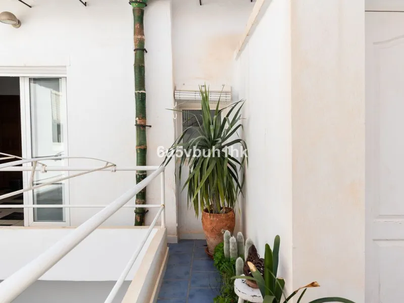 Hidden within the historic streets of central Málaga, this remarkable courtyard house captures a way of living that has shaped Mediterranean homes for centuries.