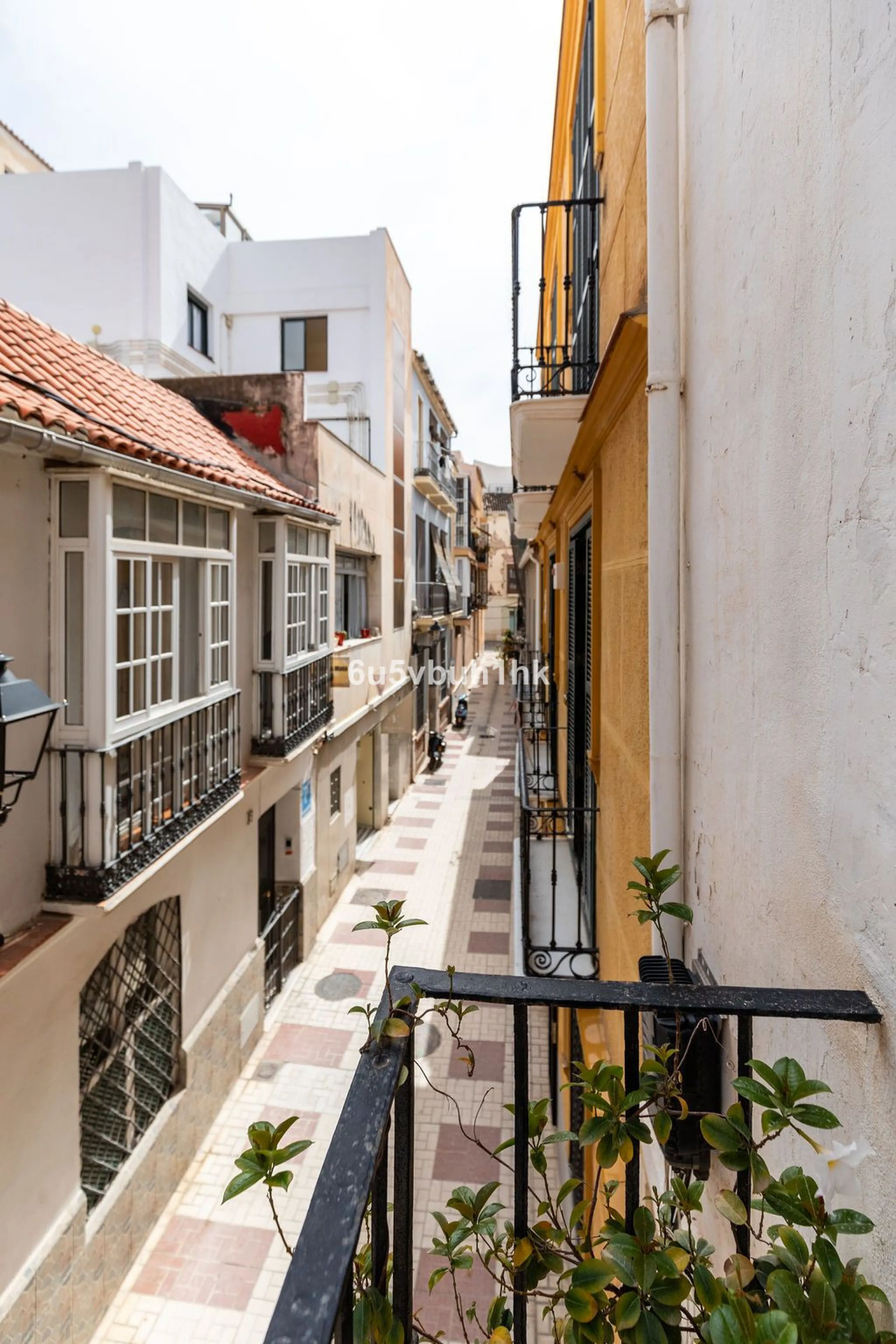 Hidden within the historic streets of central Málaga, this remarkable courtyard house captures a way of living that has shaped Mediterranean homes for centuries.