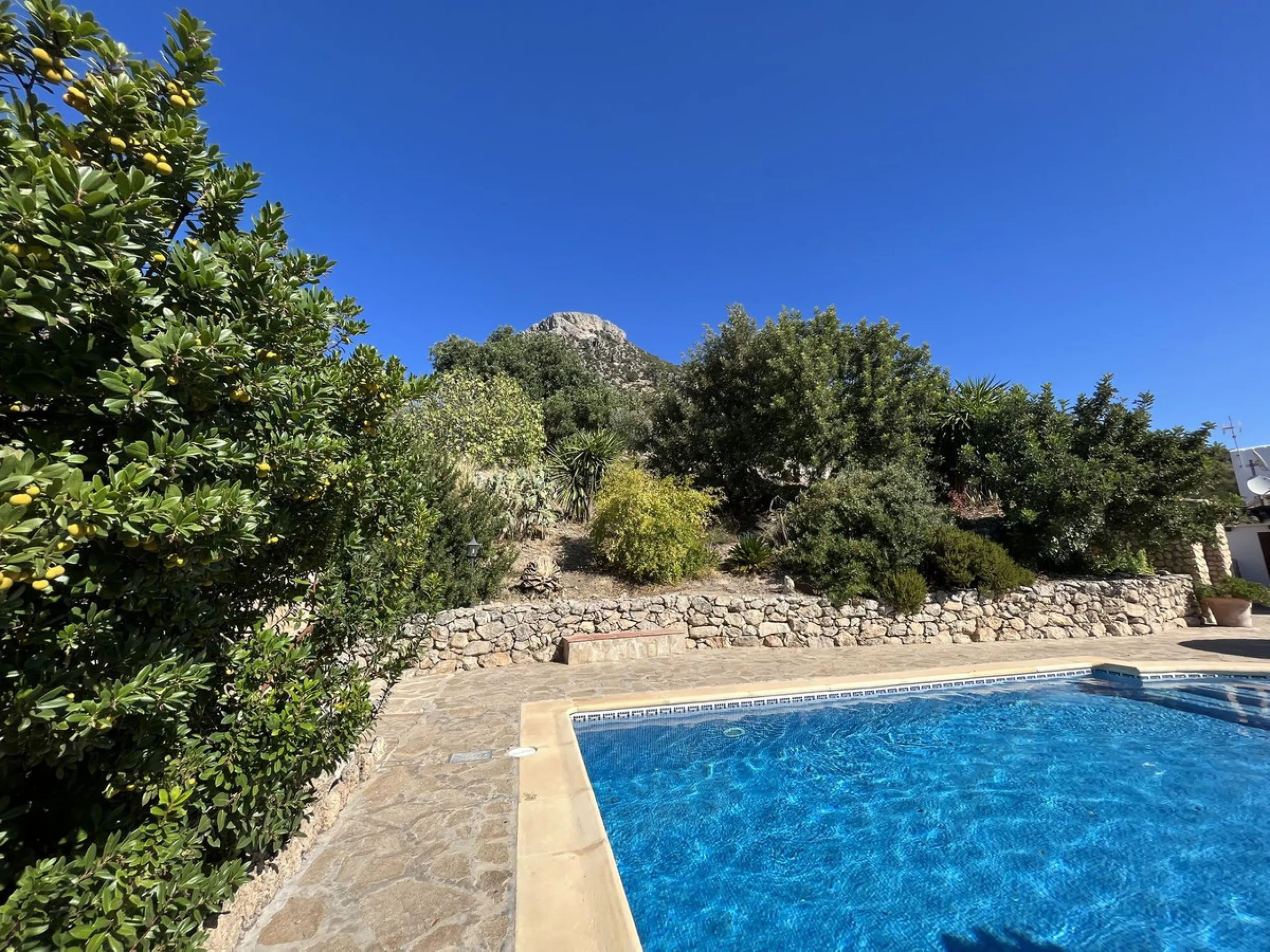 Unique Opportunity: Rustic Estate in Montecorto/ El Gastor an Exceptional Natural Setting