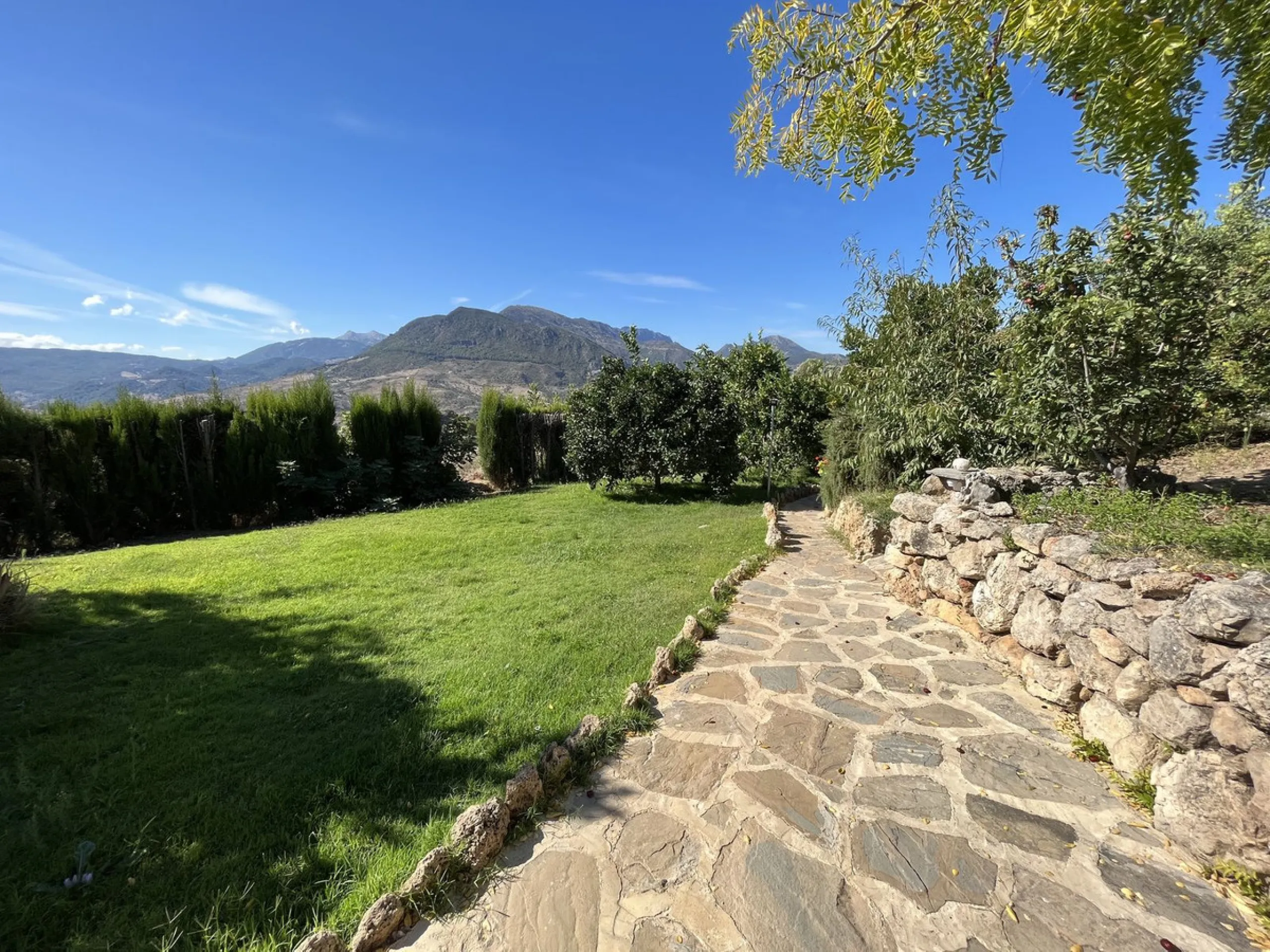 Unique Opportunity: Rustic Estate in Montecorto/ El Gastor an Exceptional Natural Setting