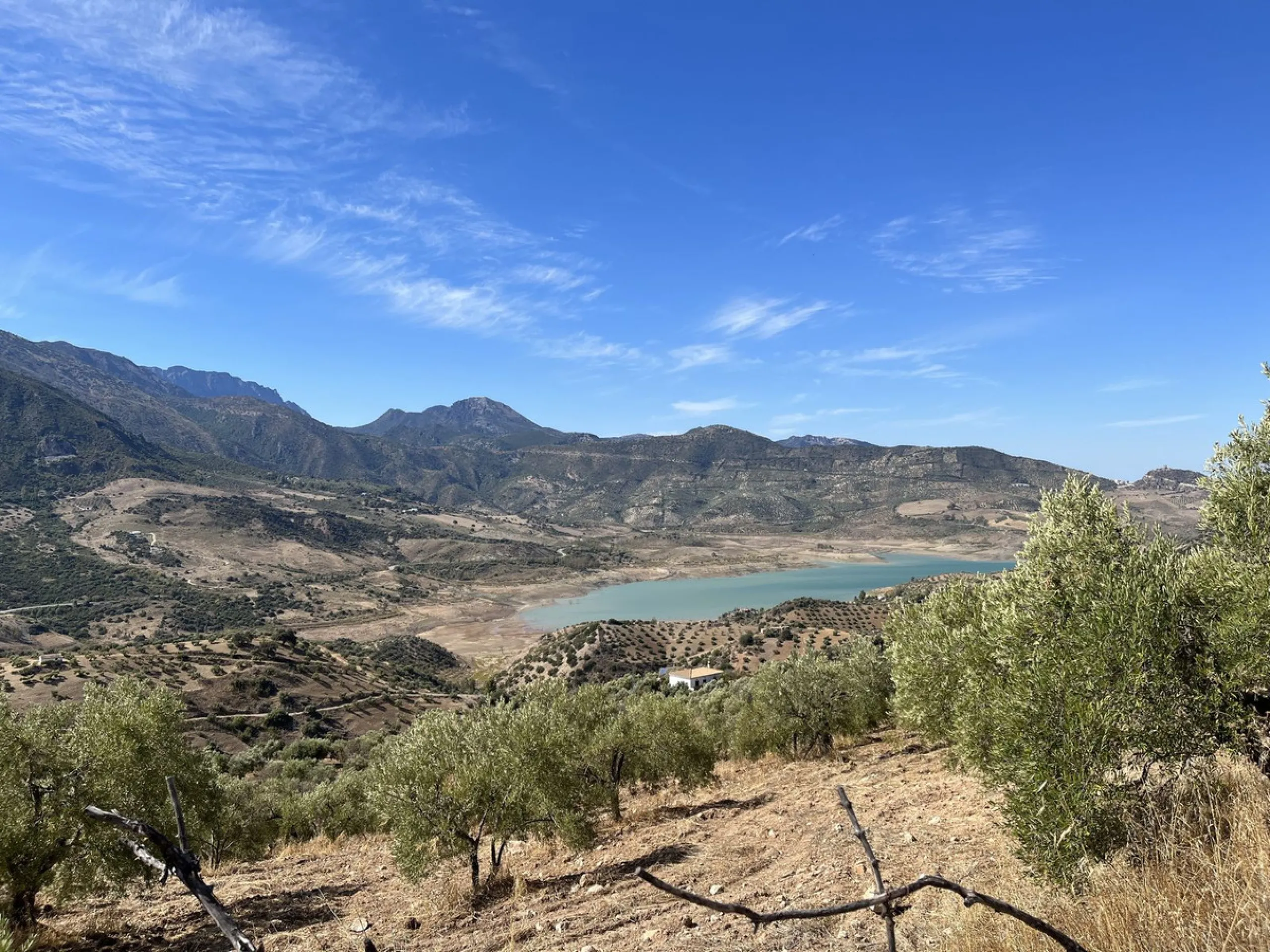 Unique Opportunity: Rustic Estate in Montecorto/ El Gastor an Exceptional Natural Setting
