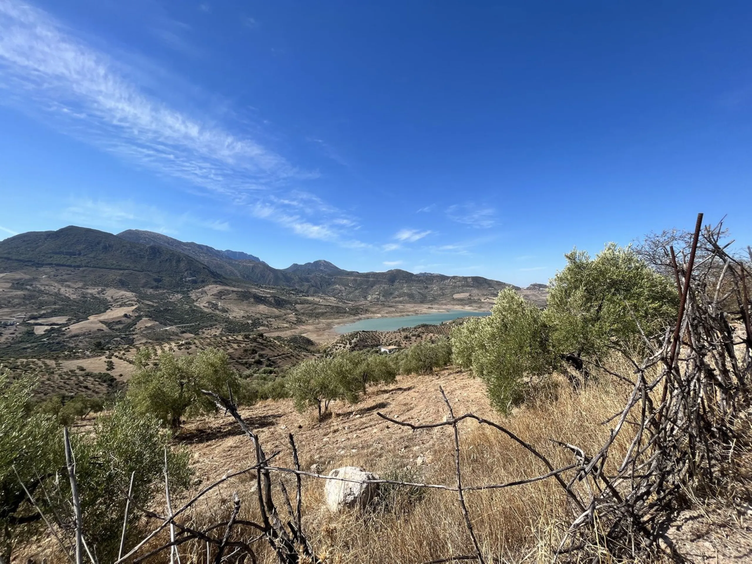 Unique Opportunity: Rustic Estate in Montecorto/ El Gastor an Exceptional Natural Setting