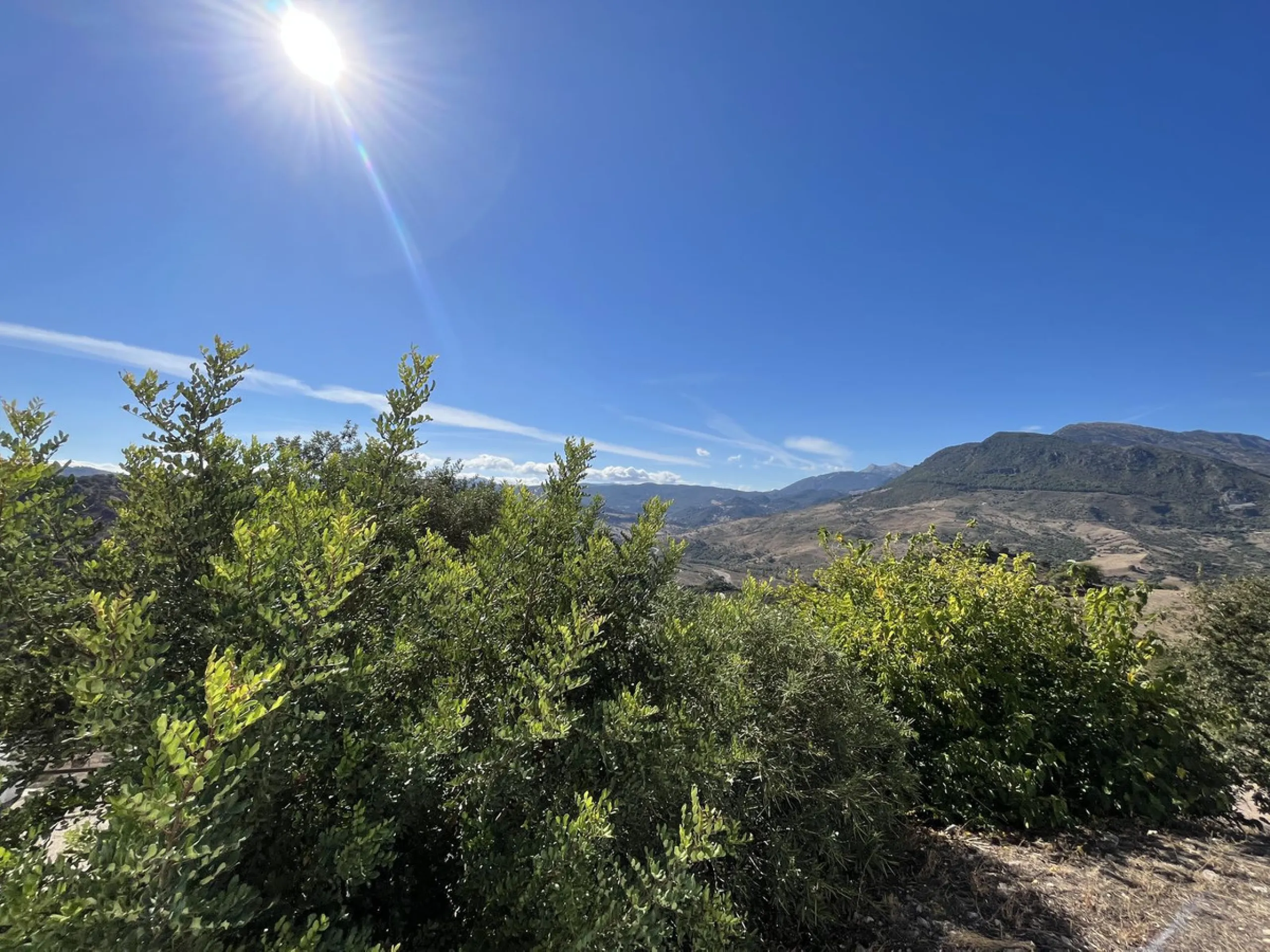 Unique Opportunity: Rustic Estate in Montecorto/ El Gastor an Exceptional Natural Setting