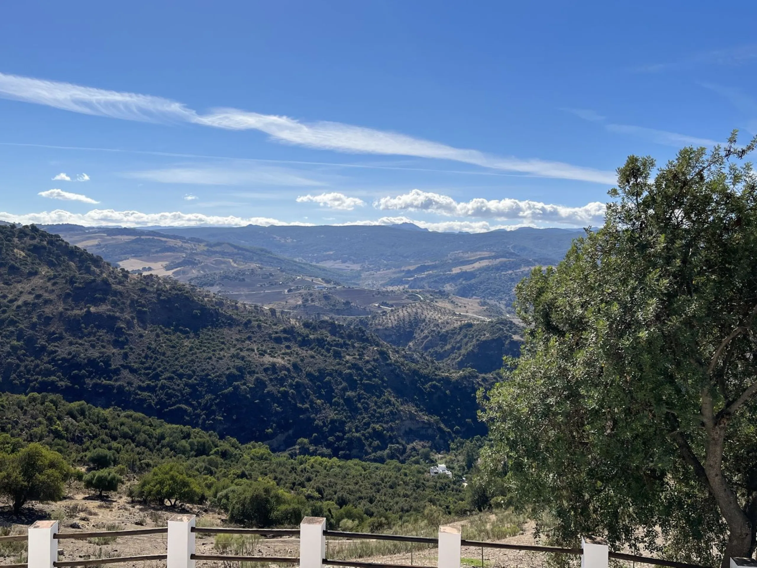 Unique Opportunity: Rustic Estate in Montecorto/ El Gastor an Exceptional Natural Setting