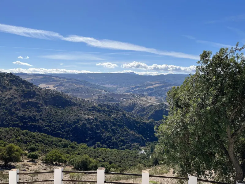 Unique Opportunity: Rustic Estate in Montecorto/ El Gastor an Exceptional Natural Setting