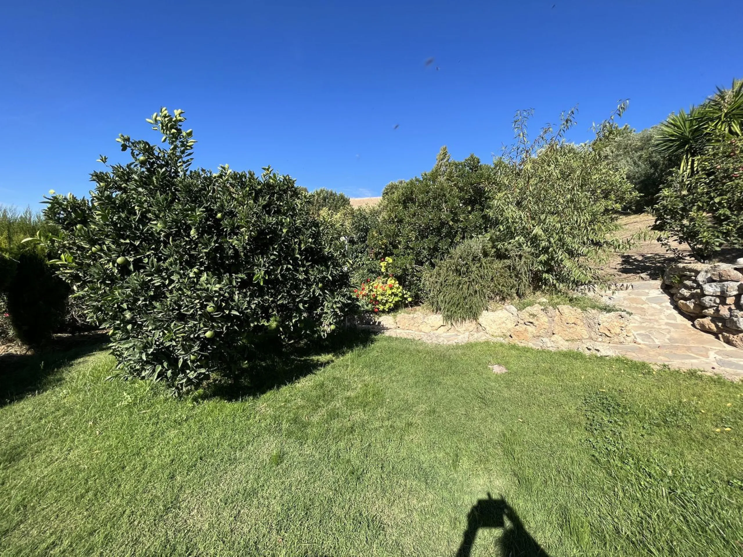Unique Opportunity: Rustic Estate in Montecorto/ El Gastor an Exceptional Natural Setting