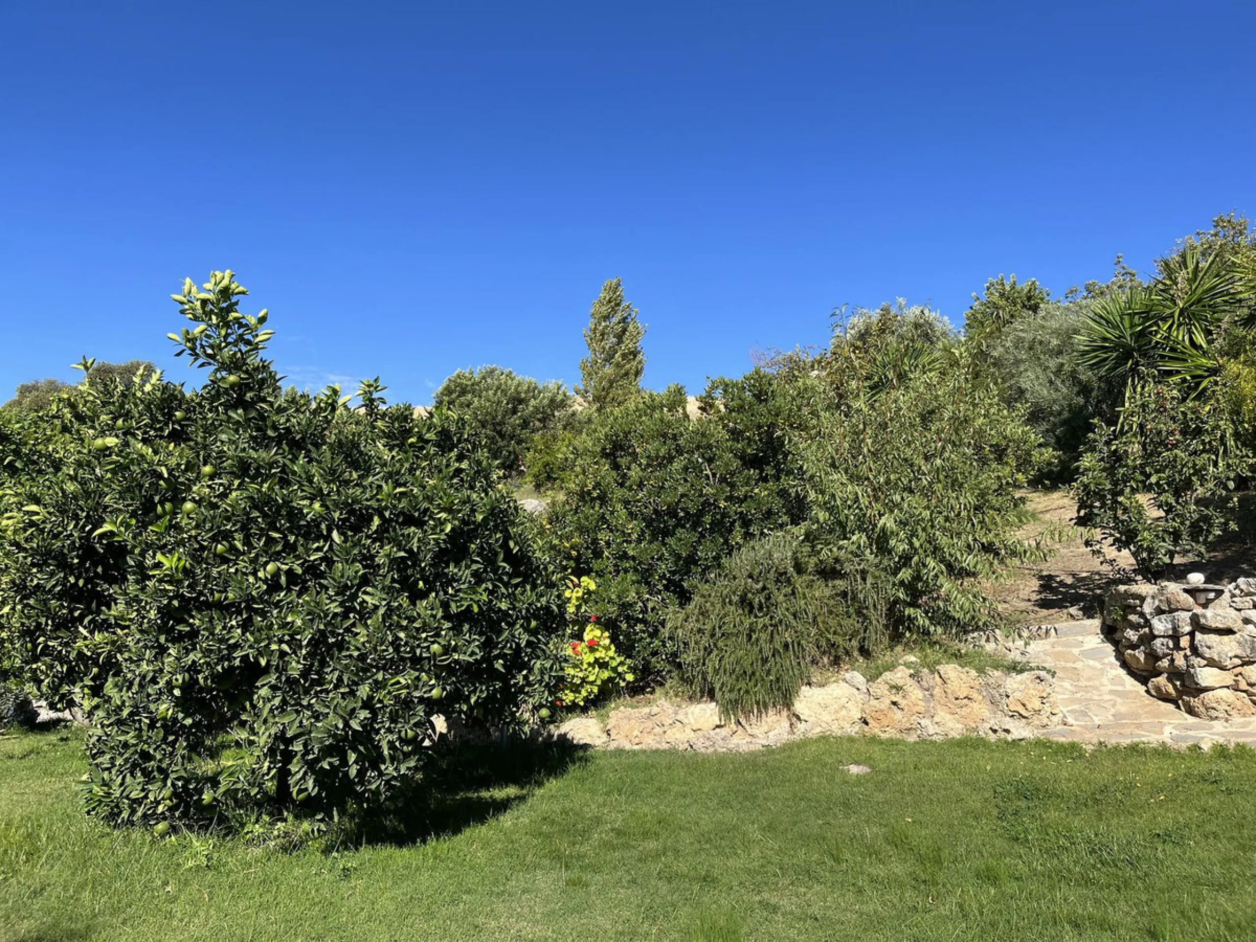 Unique Opportunity: Rustic Estate in Montecorto/ El Gastor an Exceptional Natural Setting