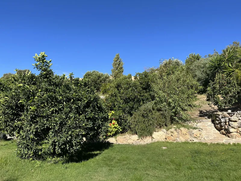 Unique Opportunity: Rustic Estate in Montecorto/ El Gastor an Exceptional Natural Setting
