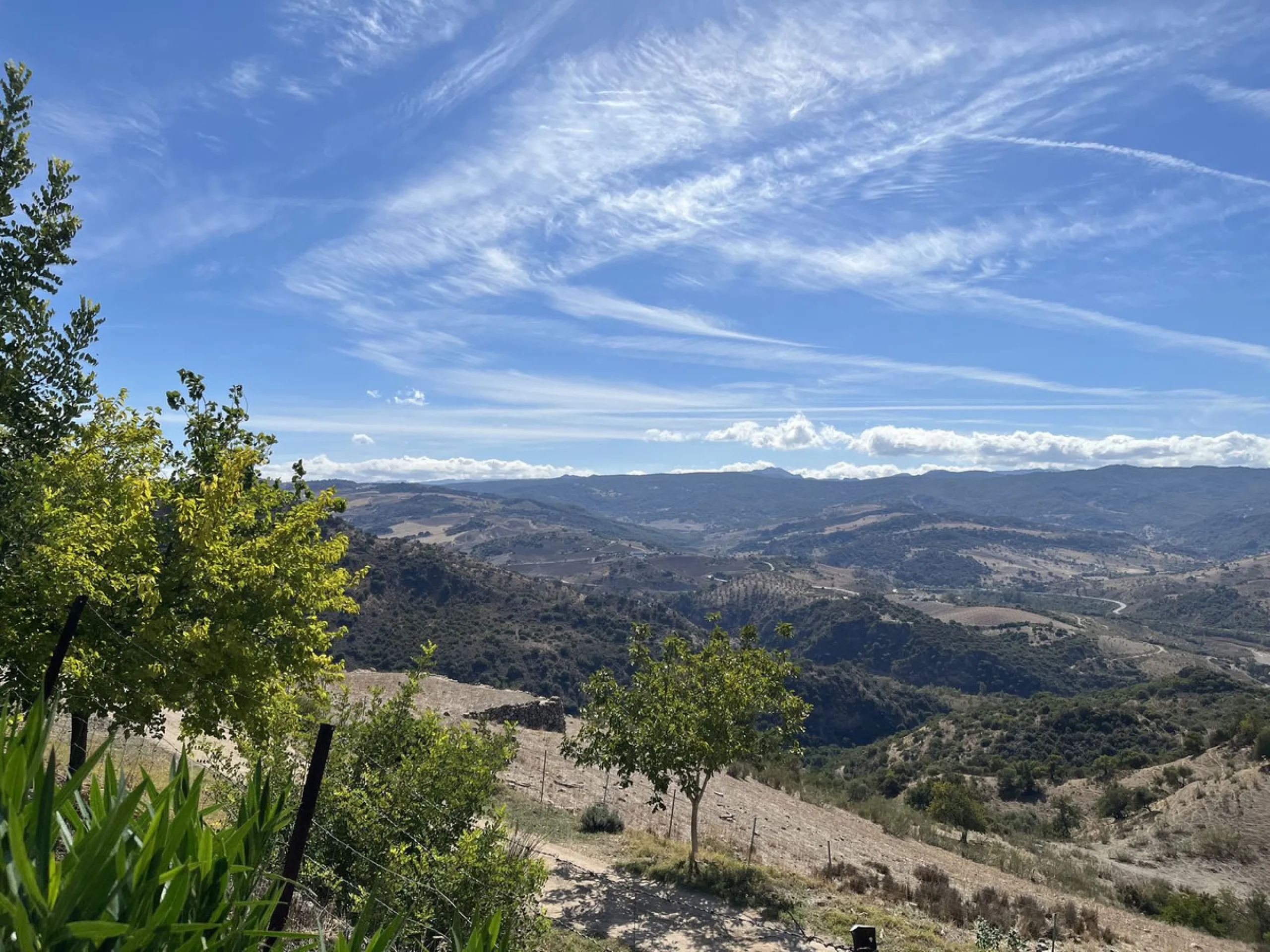 Unique Opportunity: Rustic Estate in Montecorto/ El Gastor an Exceptional Natural Setting