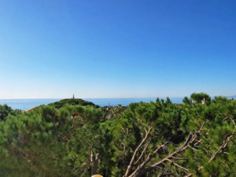 House - Detached Villa в продаже в Marbella, Málaga. В доме 4 спален и 4 ванных комнат. Площадь дома 344 м². Площадь участка 1290 м²