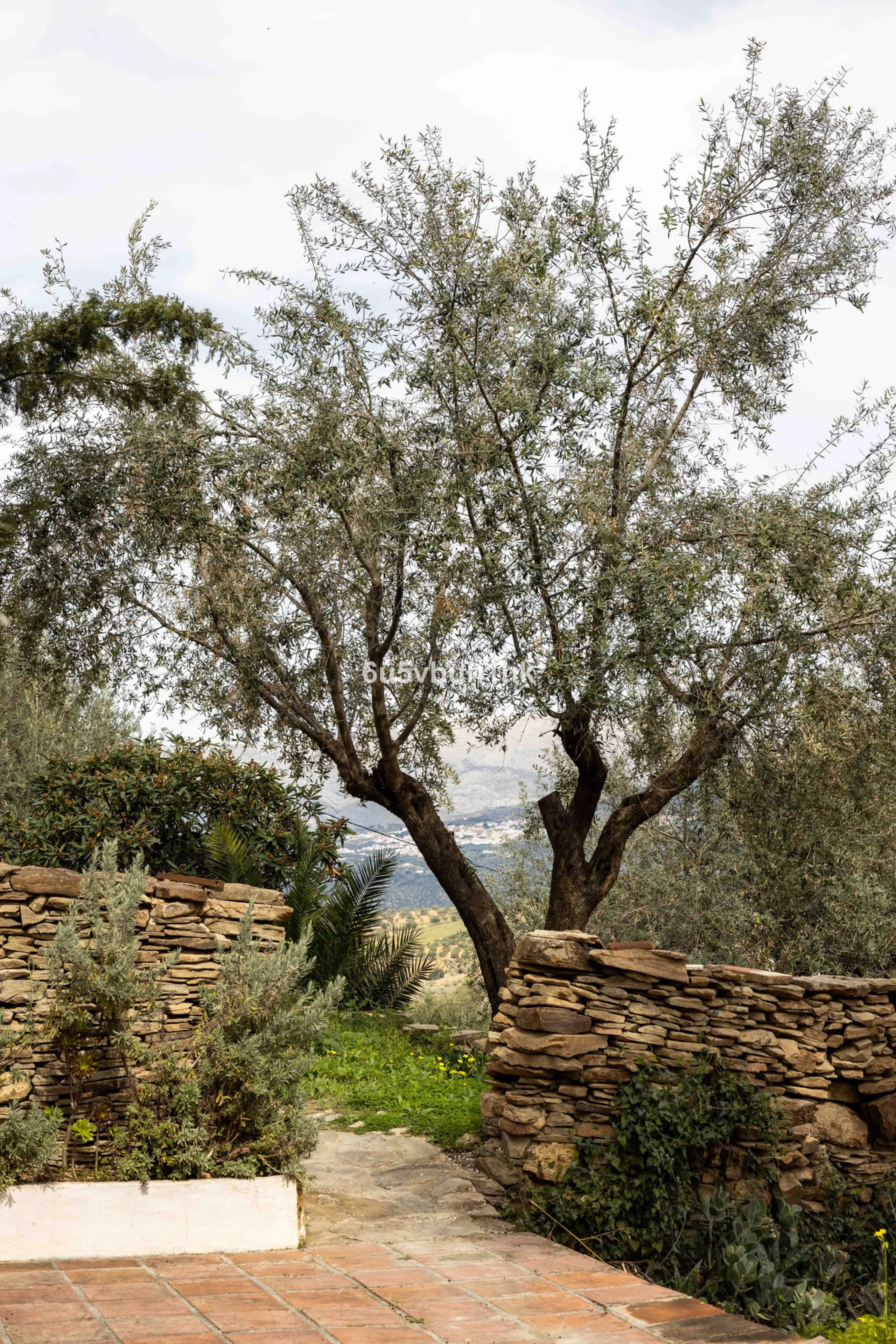 A very rare opportunity to purchase  a complete private village of 14 townhouses situated in what was once a functioning white countryside hamlet overlooking the lake with a lovely cobbled street leading to each house. These beautiful rustic style houses 