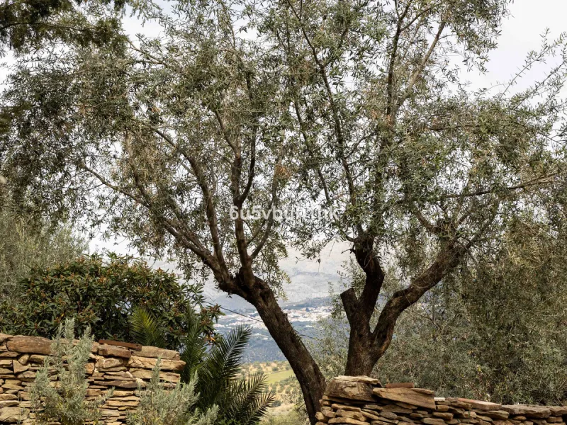 A very rare opportunity to purchase  a complete private village of 14 townhouses situated in what was once a functioning white countryside hamlet overlooking the lake with a lovely cobbled street leading to each house. These beautiful rustic style houses 