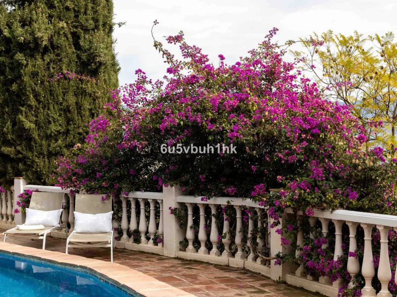 A very rare opportunity to purchase  a complete private village of 14 townhouses situated in what was once a functioning white countryside hamlet overlooking the lake with a lovely cobbled street leading to each house. These beautiful rustic style houses 