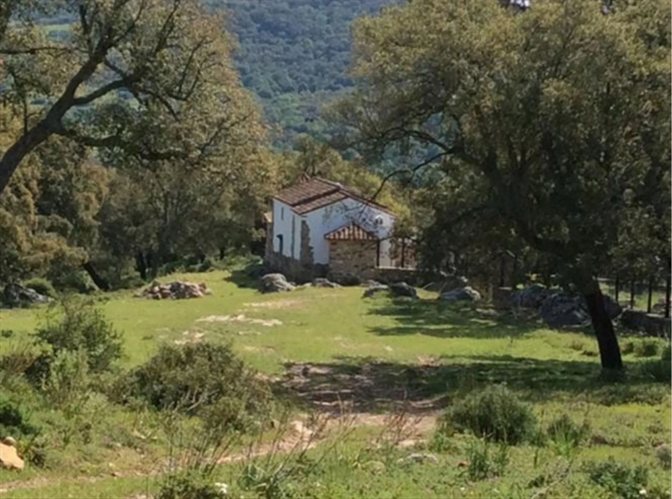 Rustic finca on a remote location. Ideal for nature lovers, family and a very peaceful location with modern comfort. The house is self-sustainable: Solar panels + wind-mill +battery for electricity. Own well for water. Wireless internet connection..