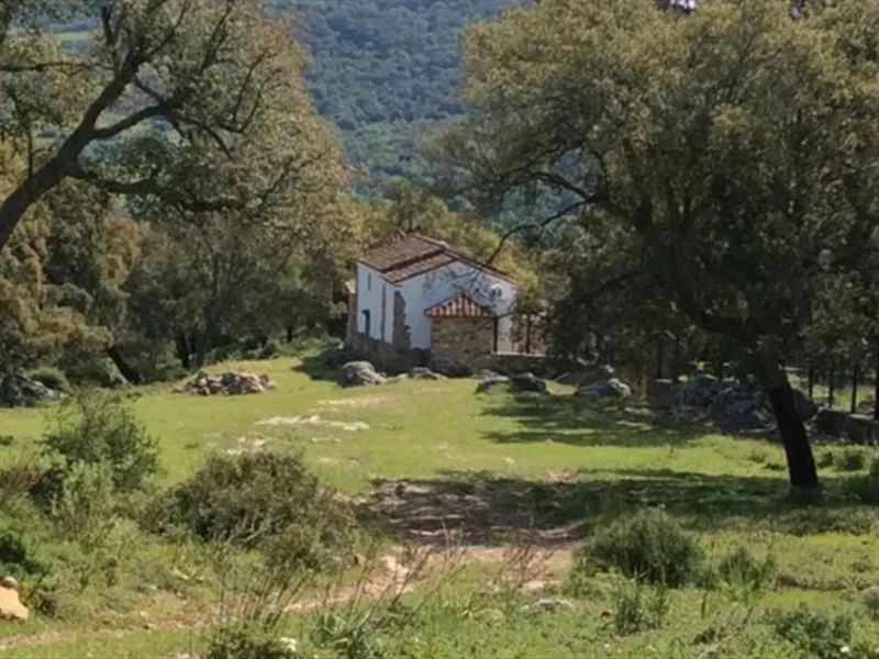 Rustic finca on a remote location. Ideal for nature lovers, family and a very peaceful location with modern comfort. The house is self-sustainable: Solar panels + wind-mill +battery for electricity. Own well for water. Wireless internet connection..
