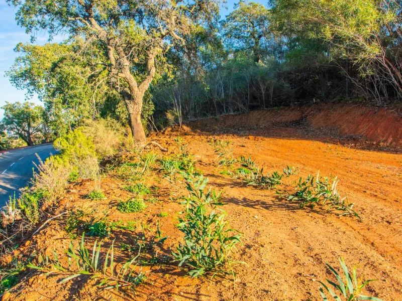 Plot 708 with project in La Mairena.