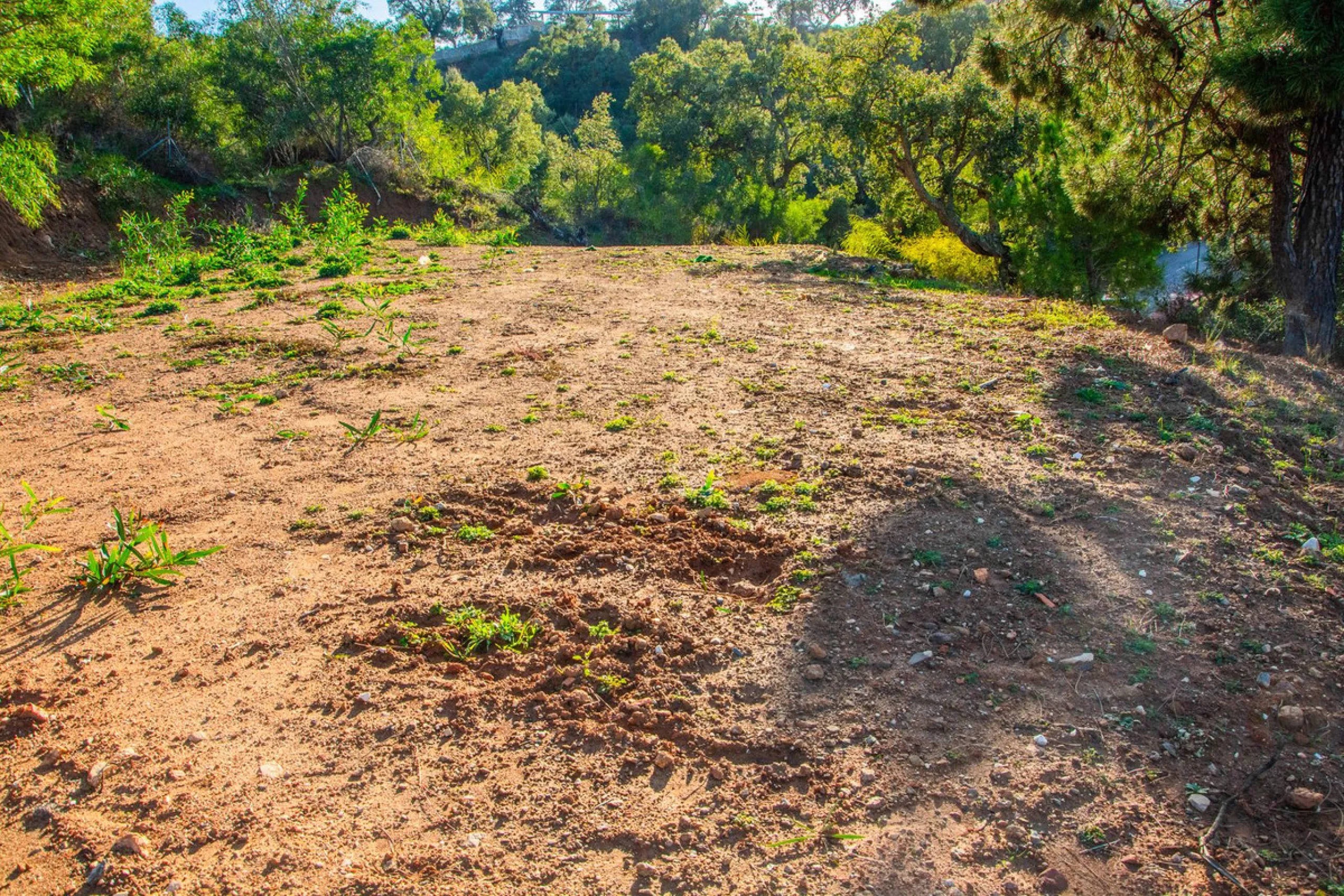 Plot 708 with project in La Mairena.