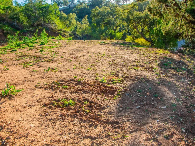 Plot 708 with project in La Mairena.