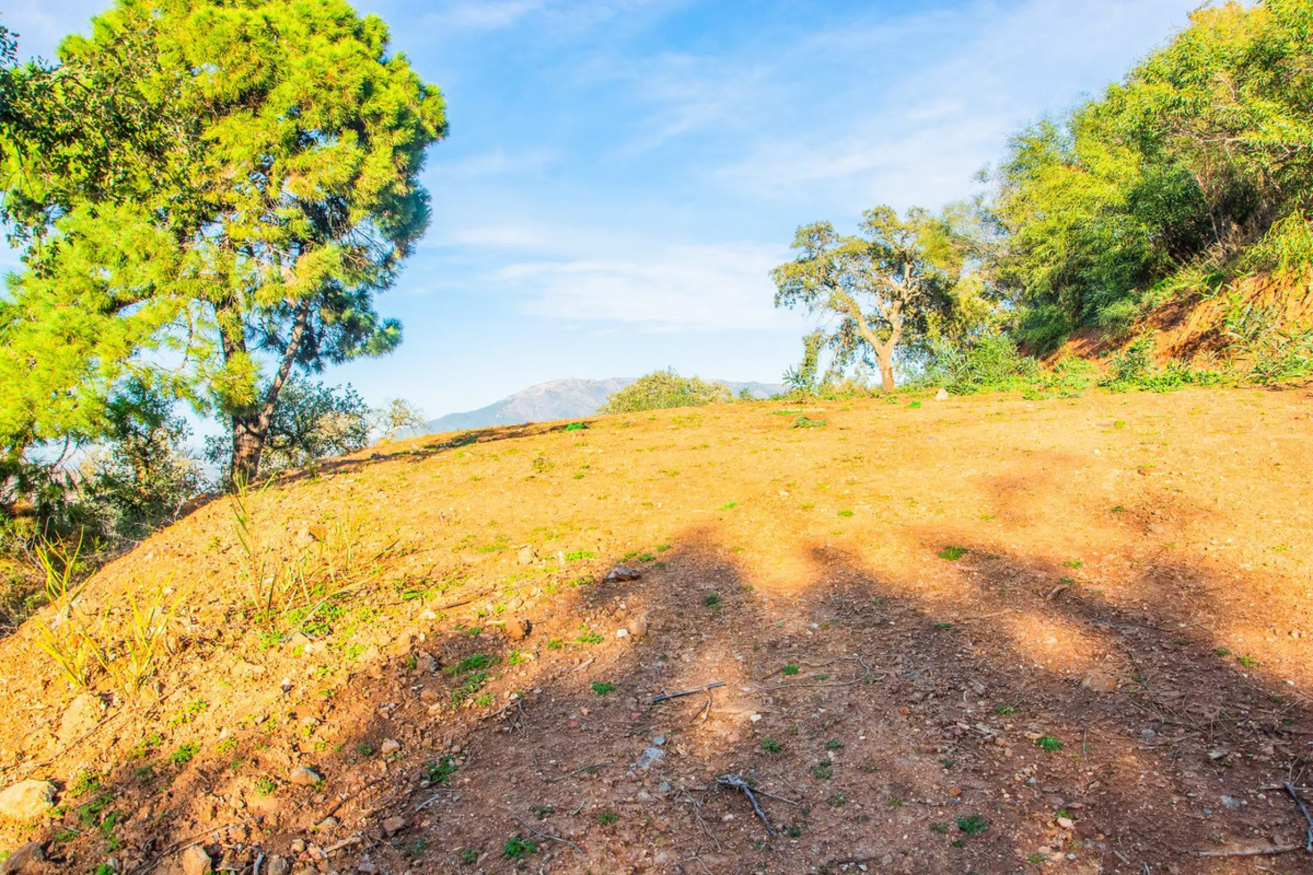 Plot 708 with project in La Mairena.